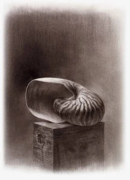 アートスクール画楽 井田教室のサムネイル画像 2