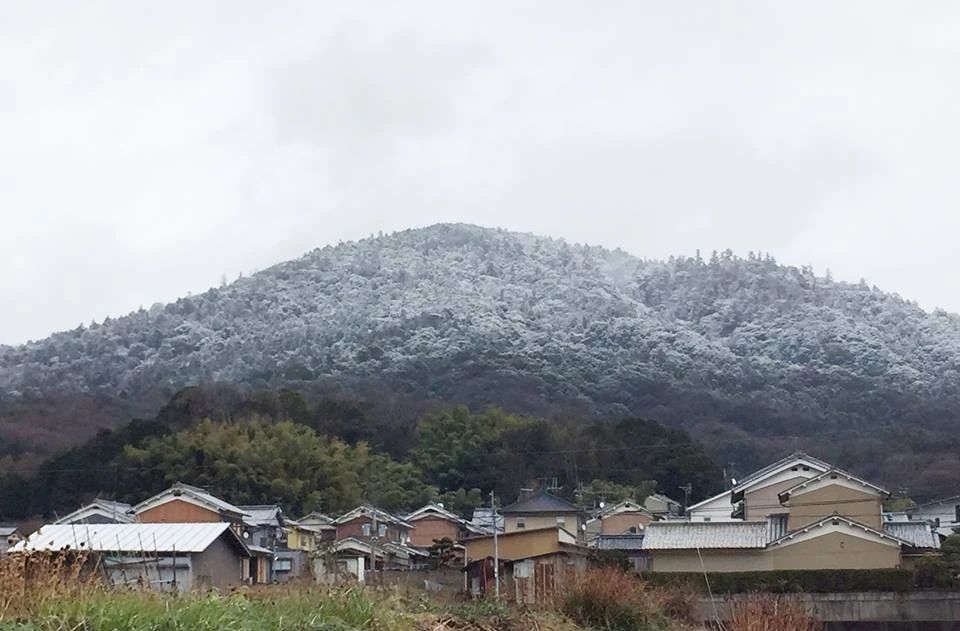 増田絵画教室 桜井教室のサムネイル画像 4