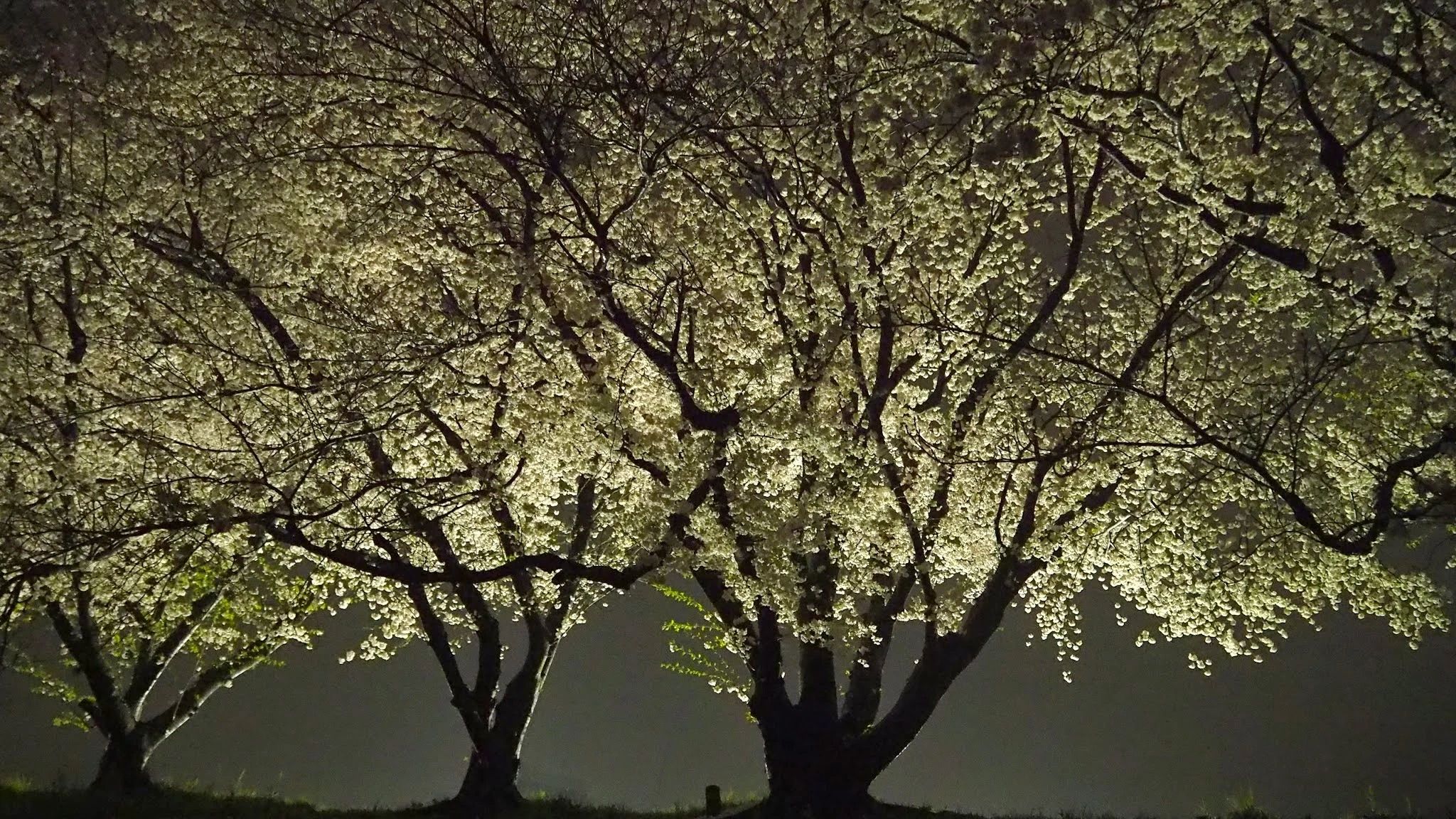 ボックスフォーデザイナーズ 美術（絵画・造形・工作） 本校のサムネイル画像 2