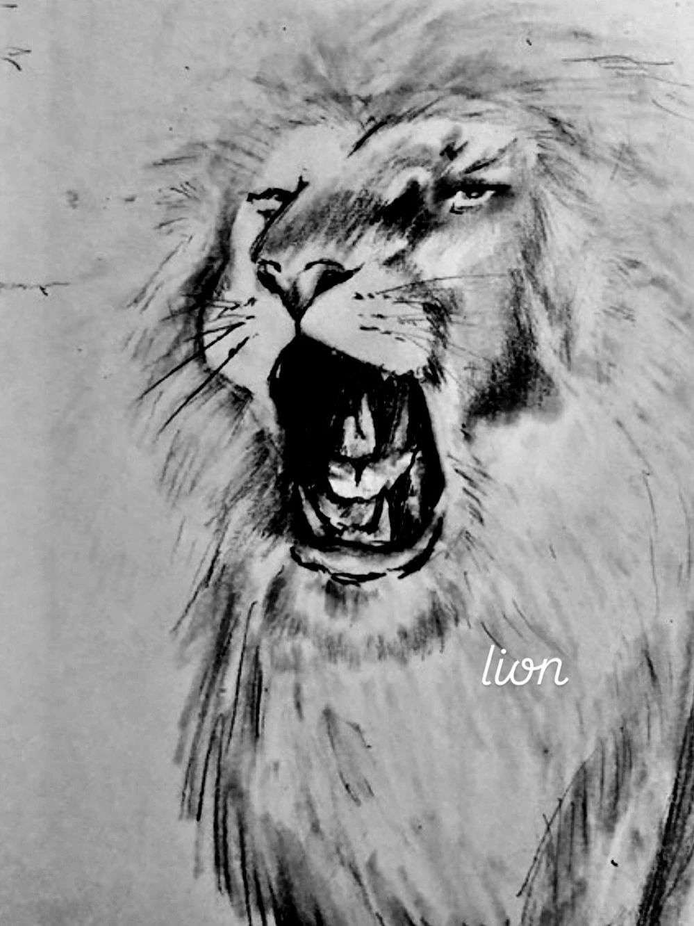 アトリエ・トノープ 笹沖教室のサムネイル画像 4