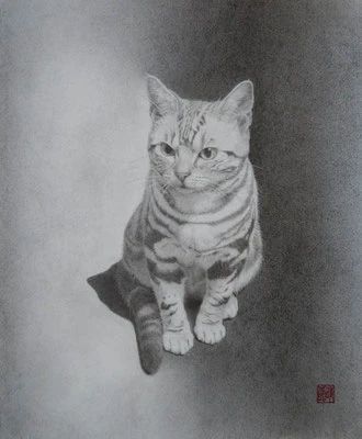 アートロード・デッサン教室のメイン画像