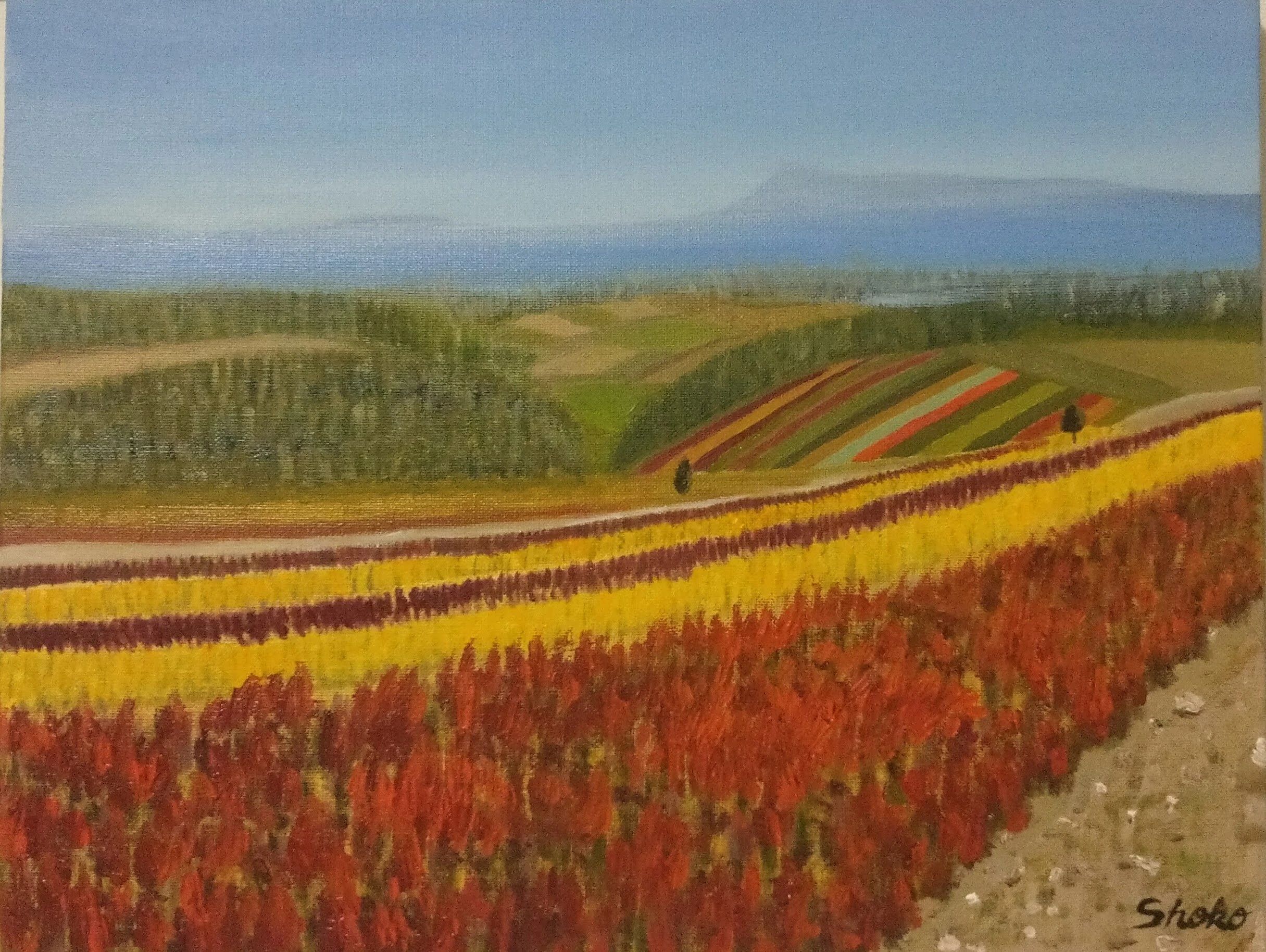 アートスタジオ海の中道 奈多教室のメイン画像