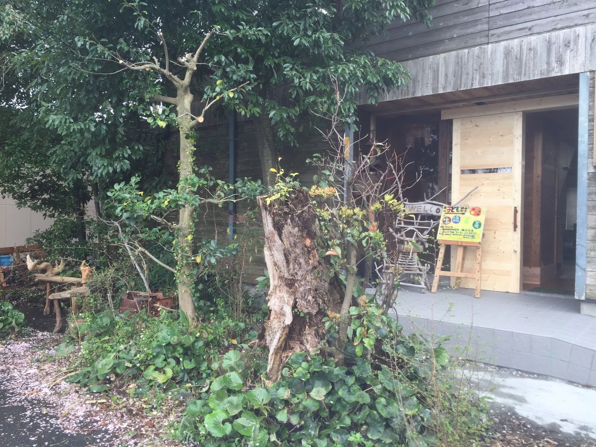 梅本美術研究所 扇山教室のサムネイル画像 2