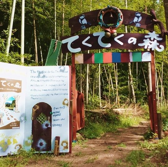 森の国 自然体験 大山町教室のメイン画像