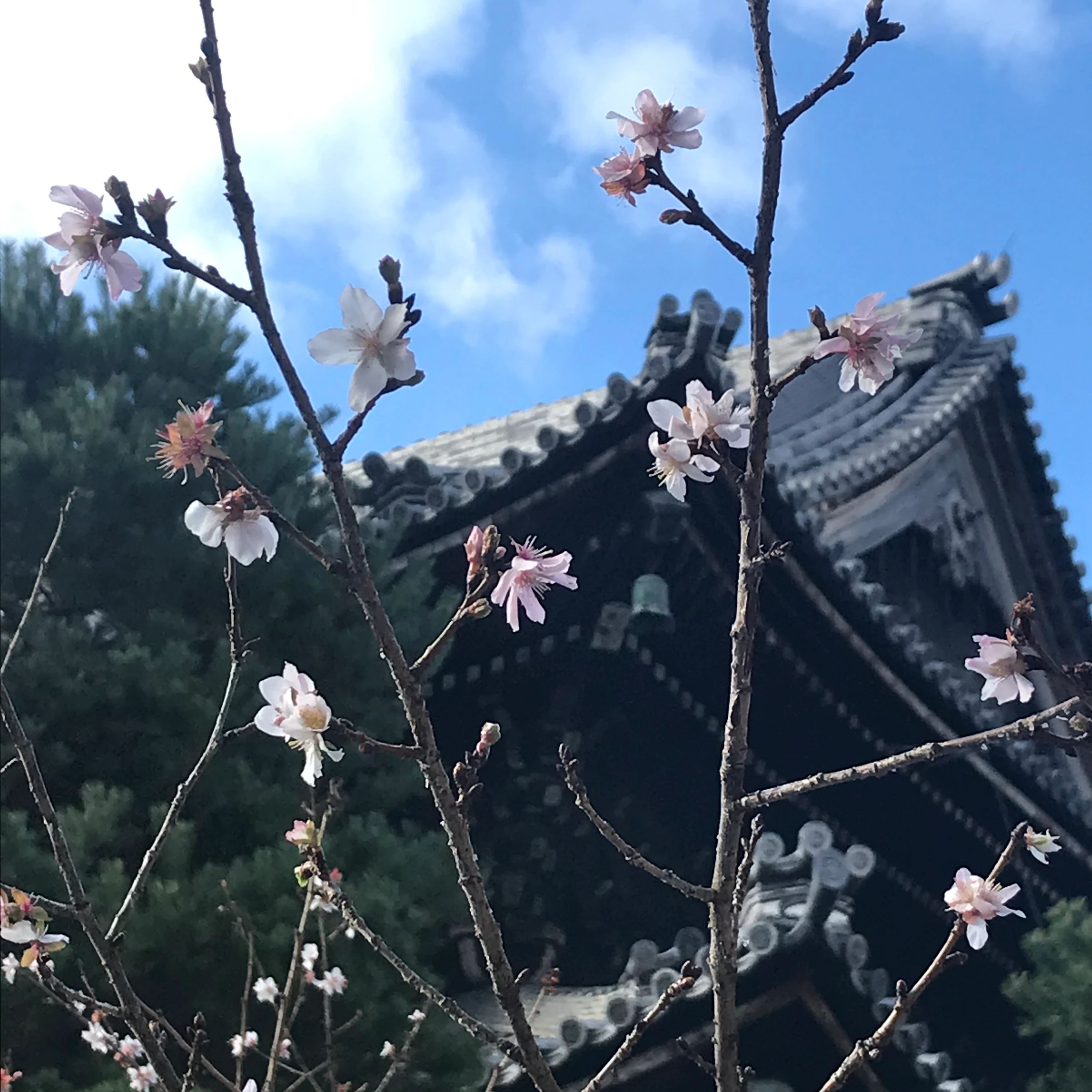 こどもの杜 アフタースクール 前野町教室のサムネイル画像 3
