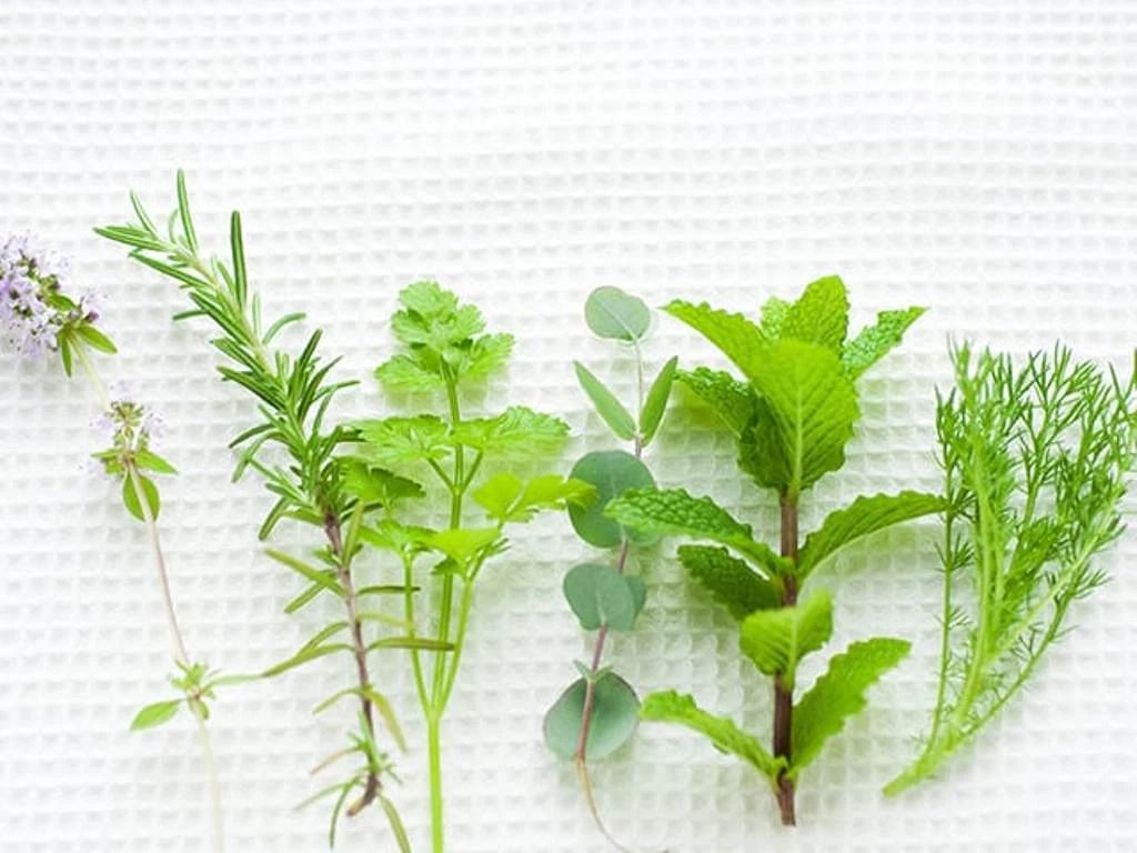 Glück 料理教室 小泉教室のメイン画像