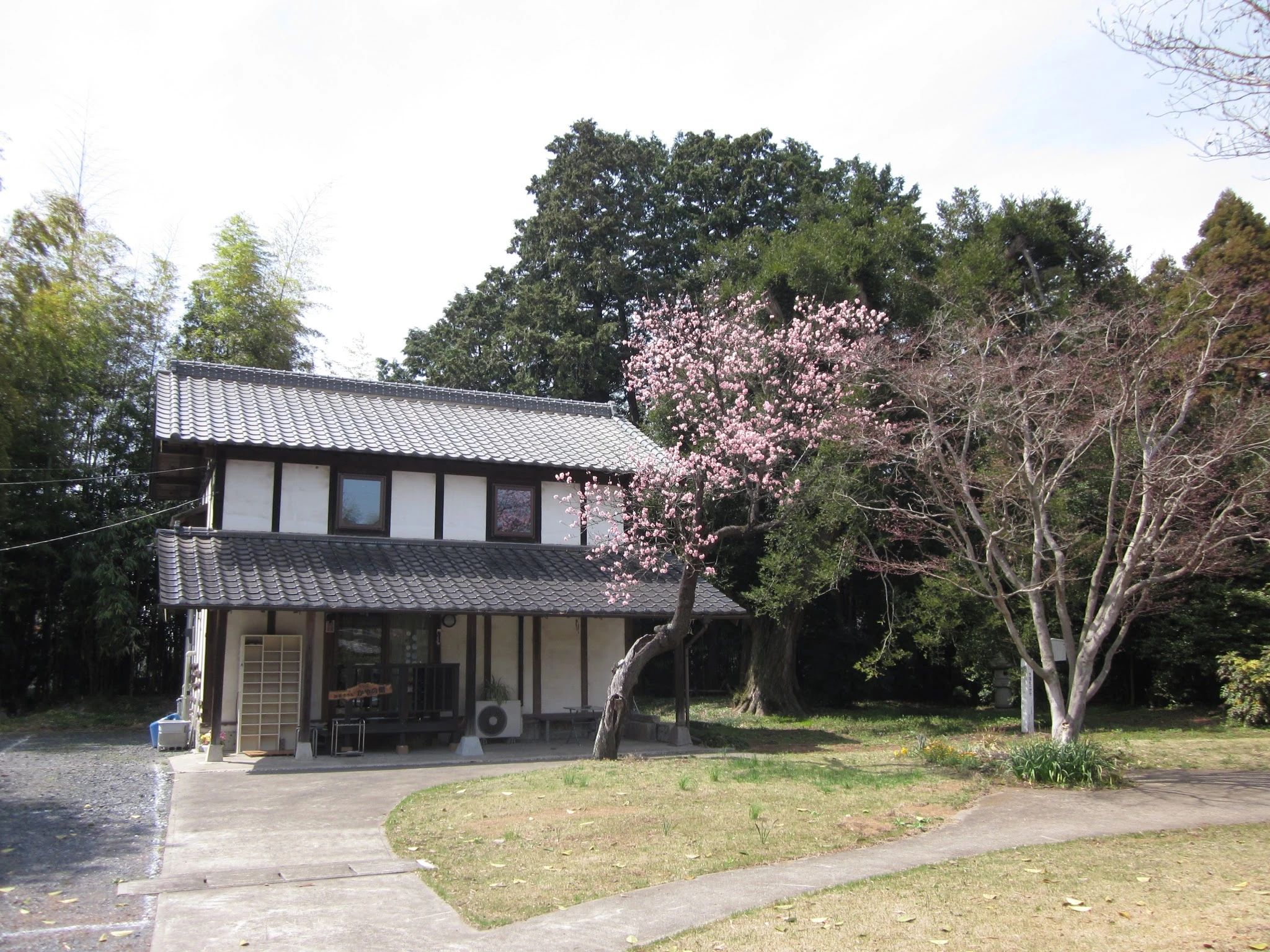 囲碁さろん かやの樹 本校のサムネイル画像 5