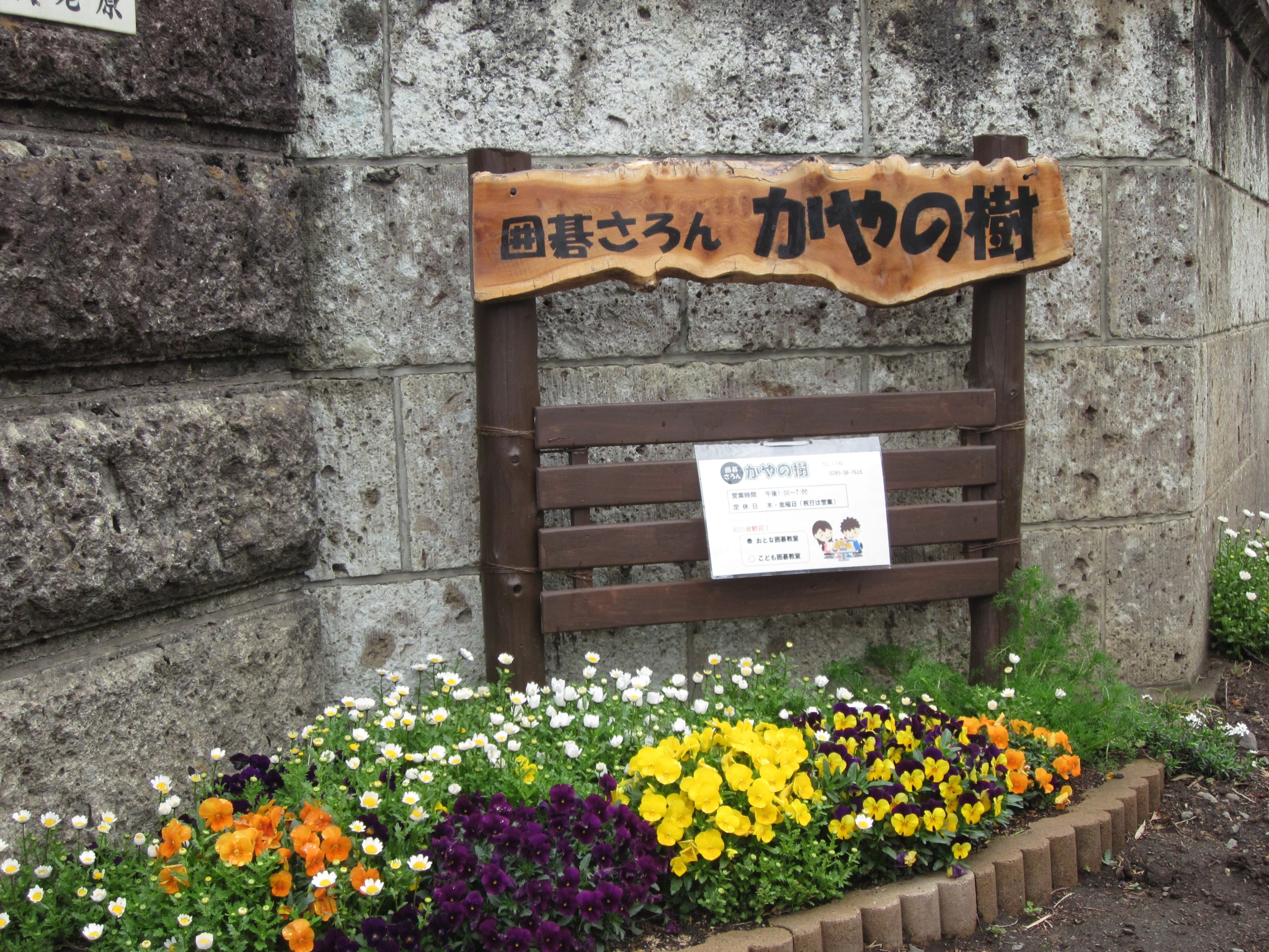 かやの樹 囲碁・将棋 本校のサムネイル画像 3