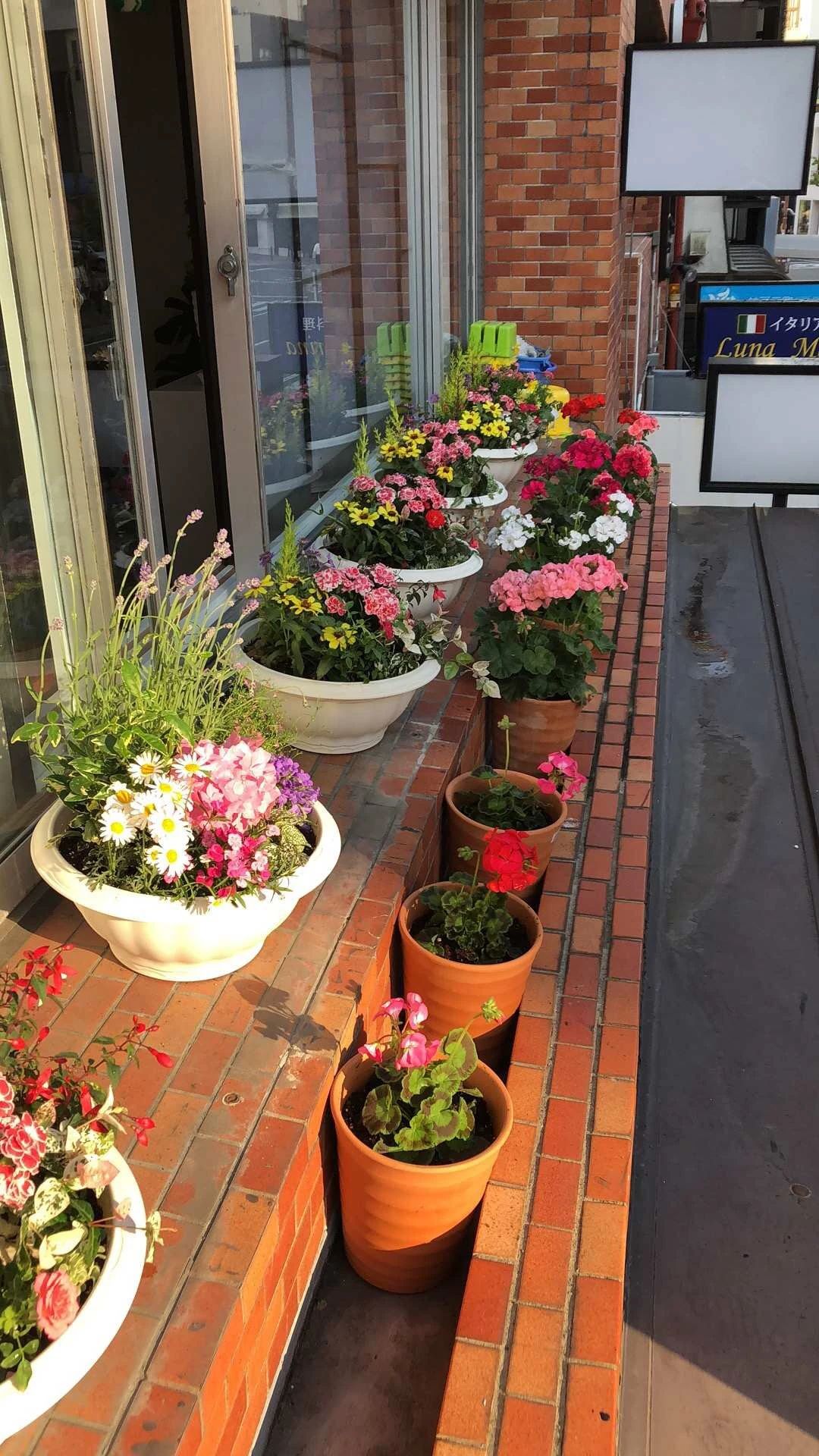 中山手放課後児童クラブ 囲碁・将棋 下山手通教室のサムネイル画像 3