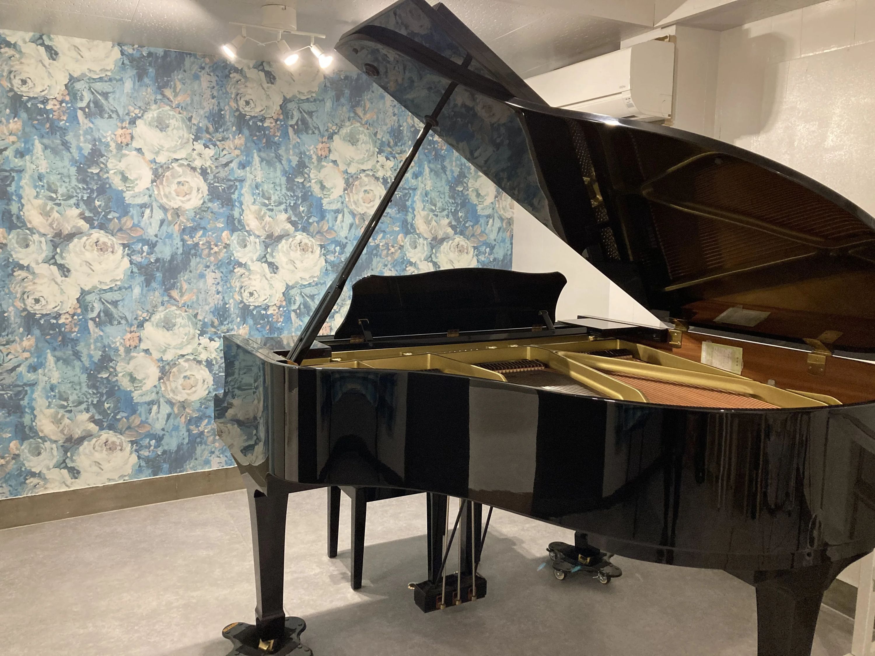 MARIMO MUSIC 演劇 千川スタジオのサムネイル画像 3