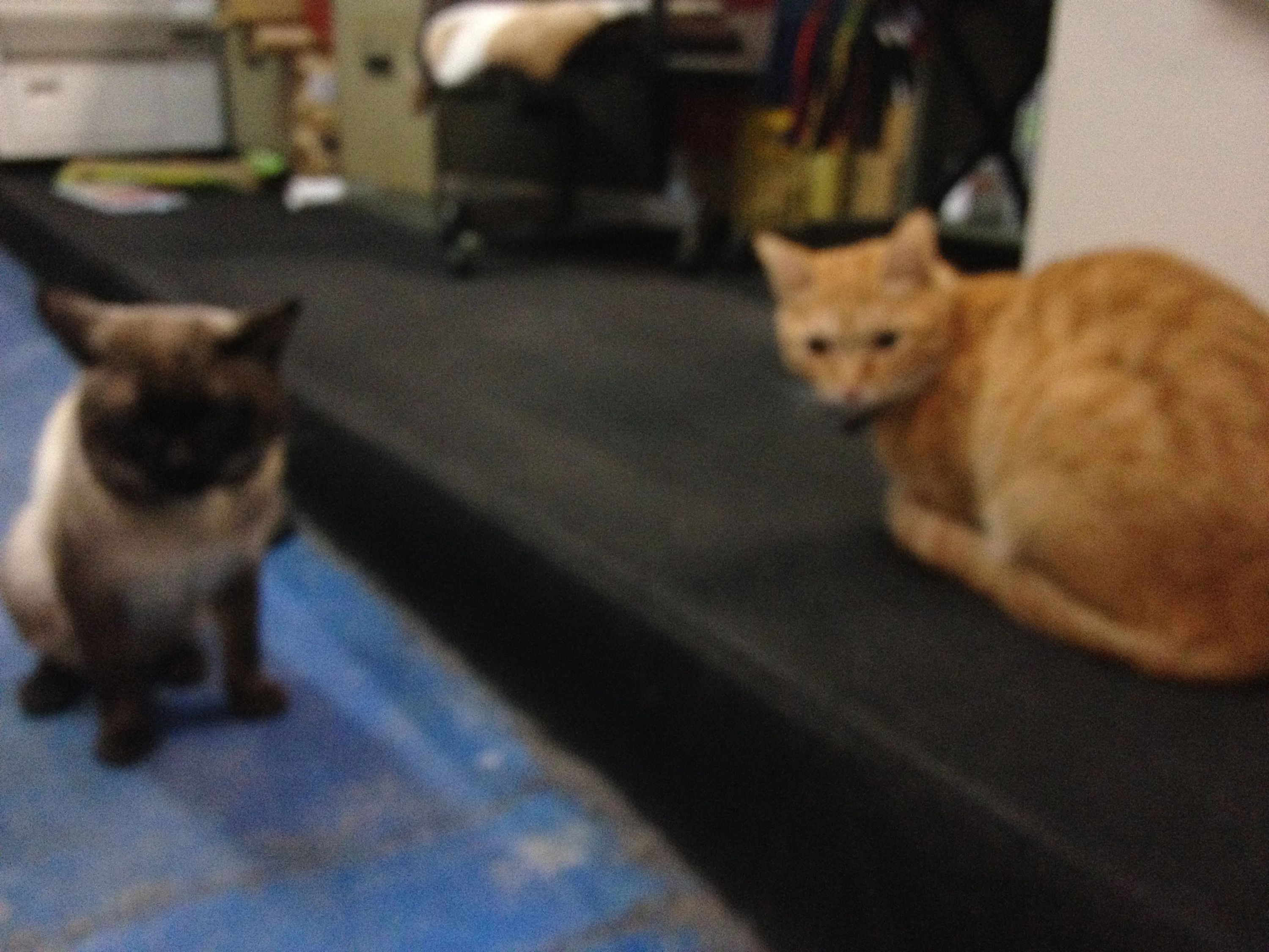 座・大阪市民劇場 えさか芸術文化館ピエロハーバーのサムネイル画像 2