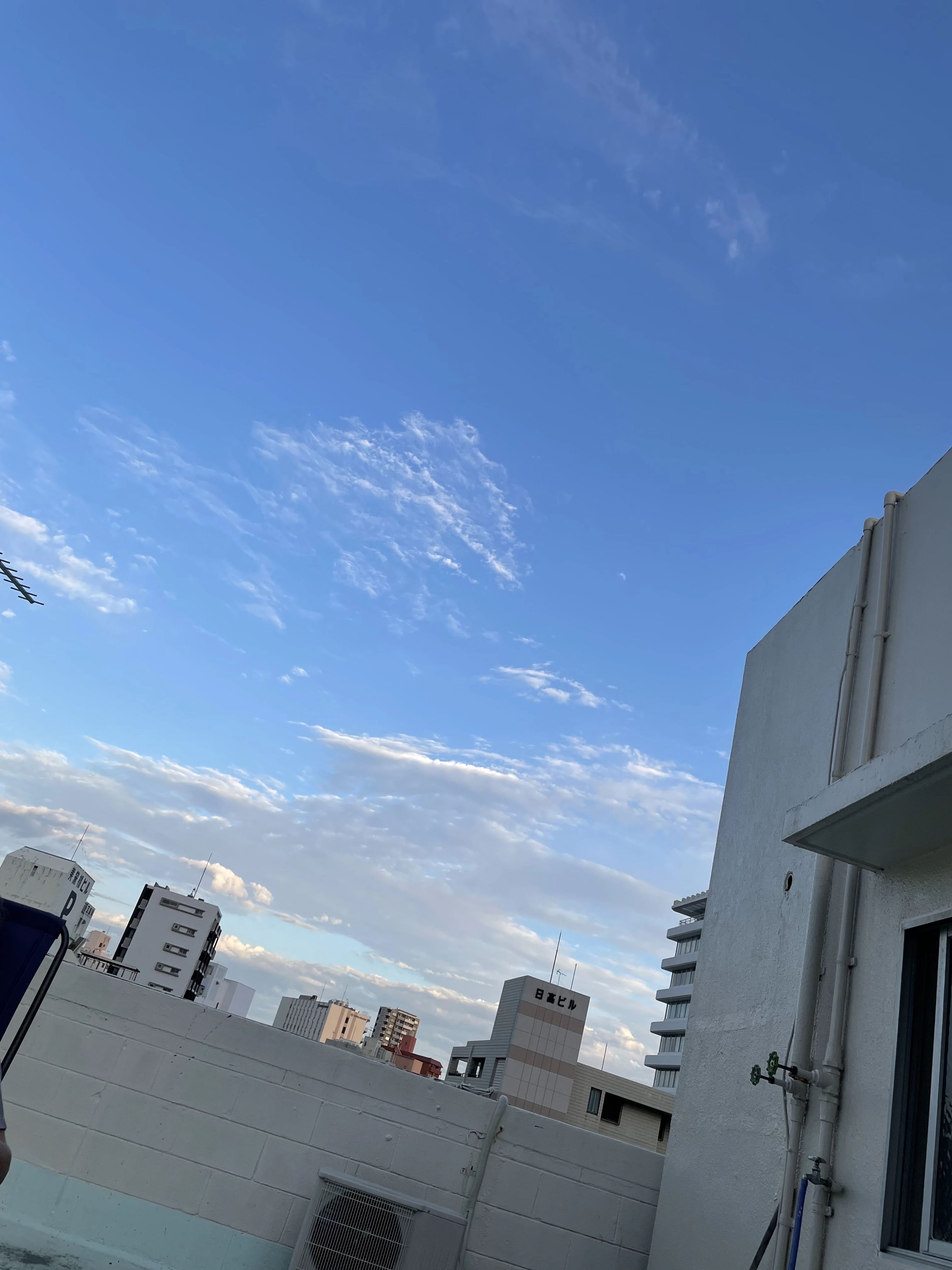 スタジオパフォ 演劇 本校のサムネイル画像 5