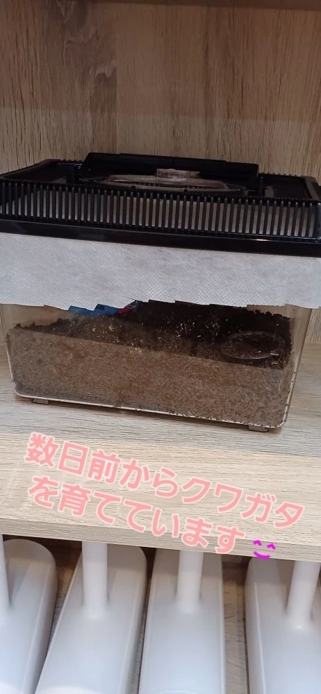 ウィズ・ユー 療育（発達支援） ウィズ・ユーまんまる札幌篠路のメイン画像