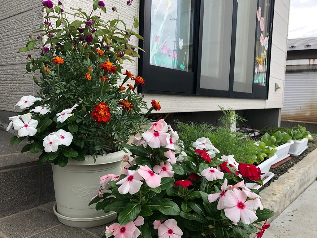 らじぴあ 療育（発達支援） 本校のサムネイル画像 4