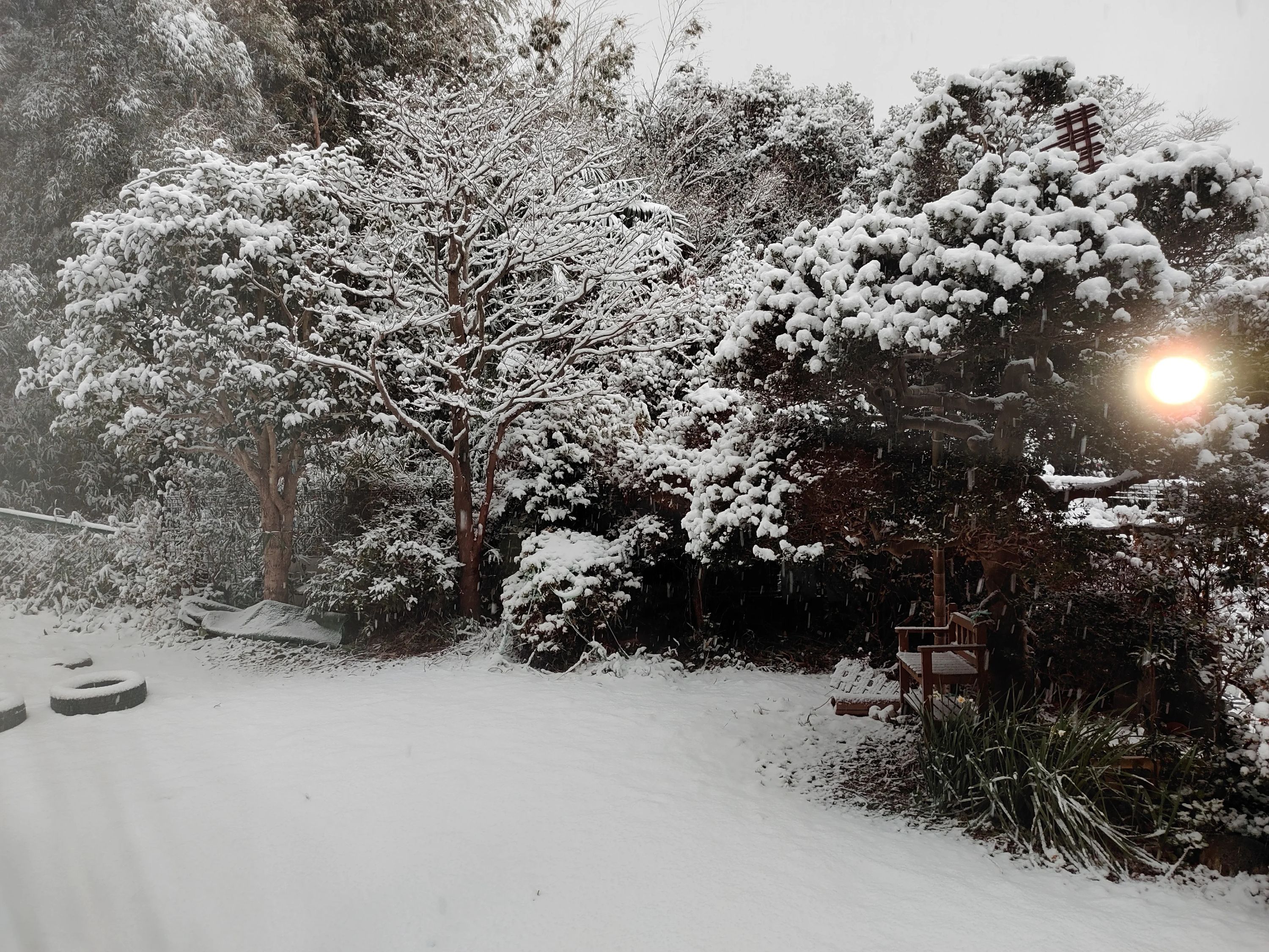 おかしの木 療育（発達支援） 新吉田のサムネイル画像 3