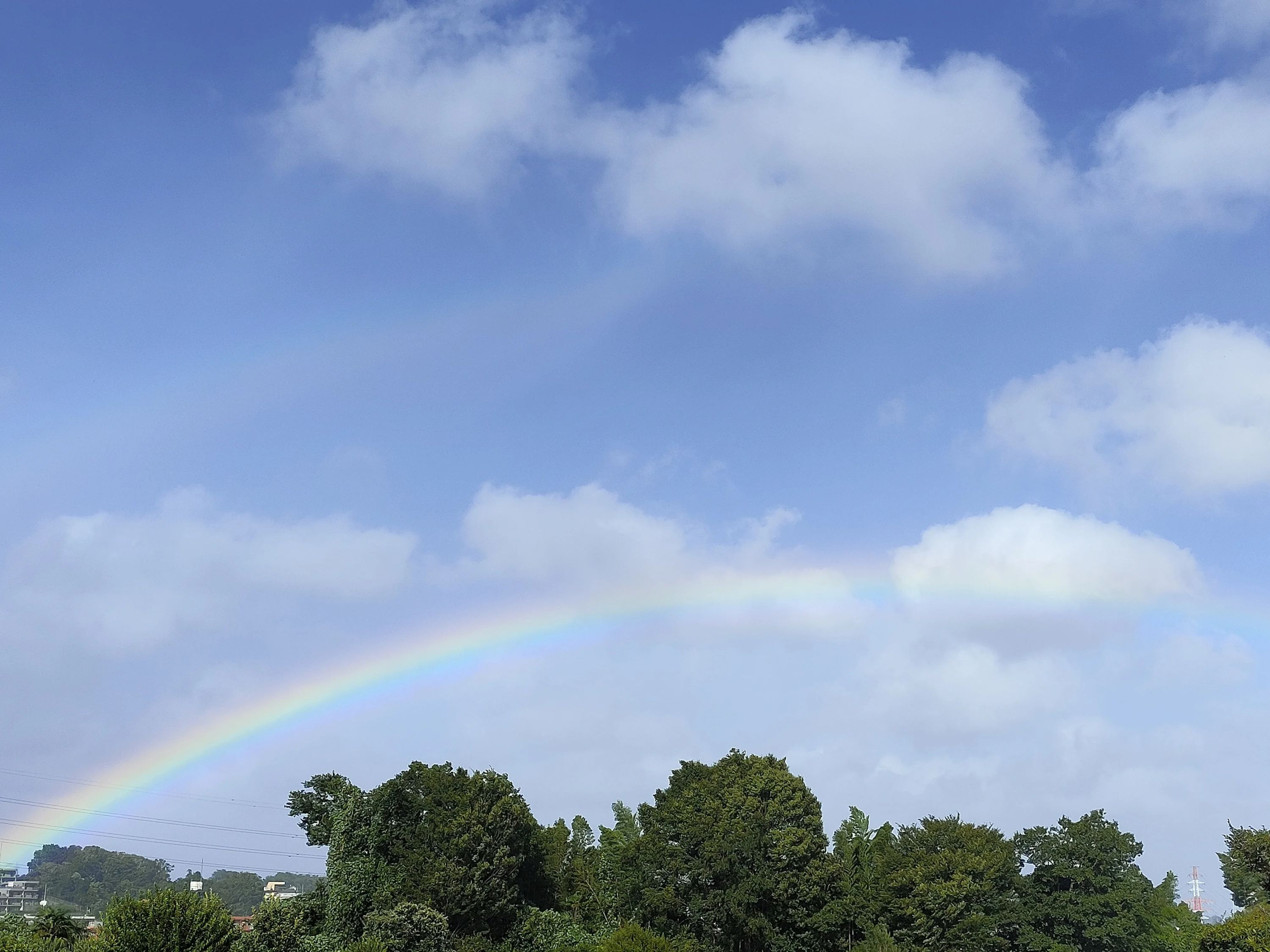 おかしの木 療育（発達支援） 新吉田のサムネイル画像 4