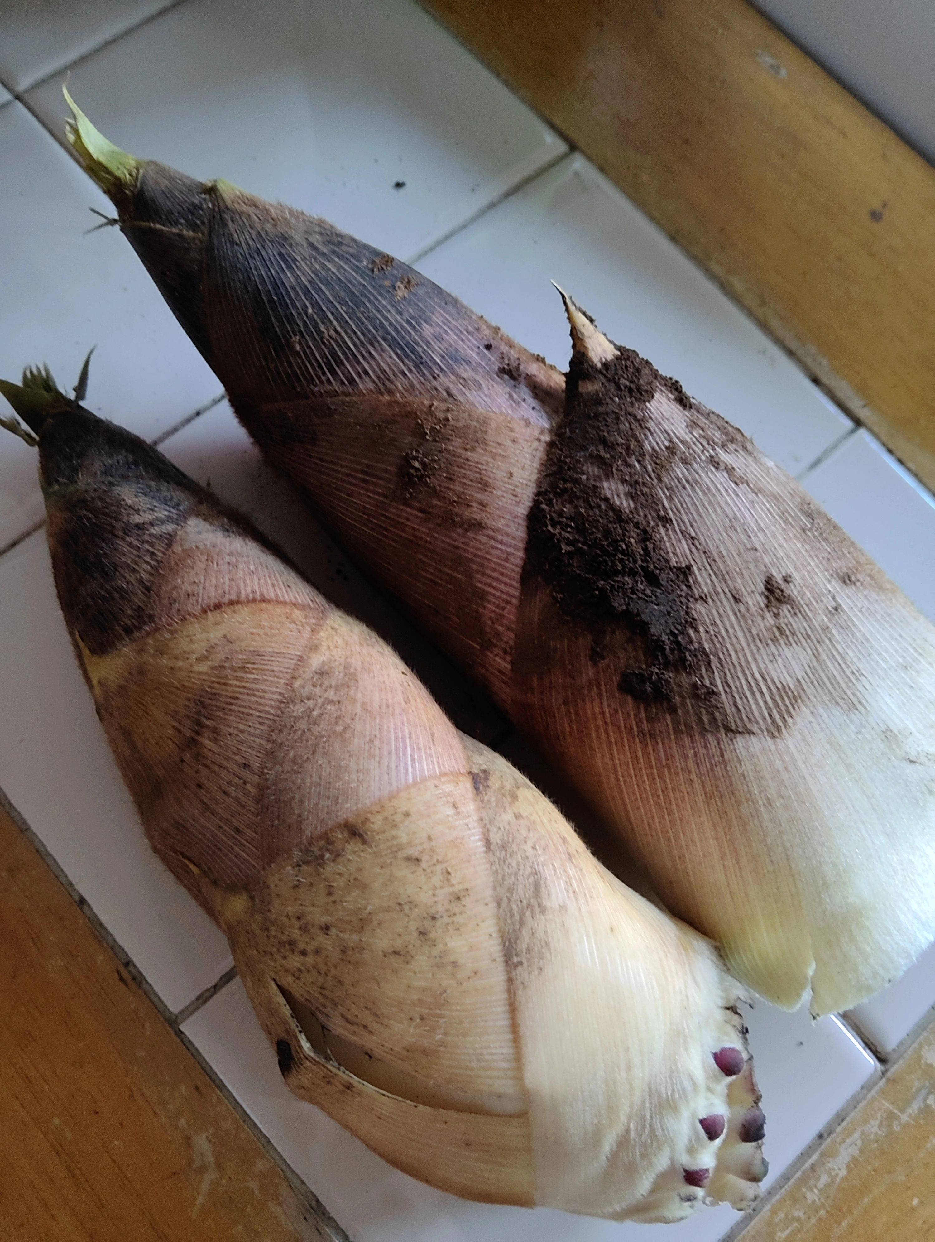 おかしの木 療育（発達支援） 新吉田のサムネイル画像 5