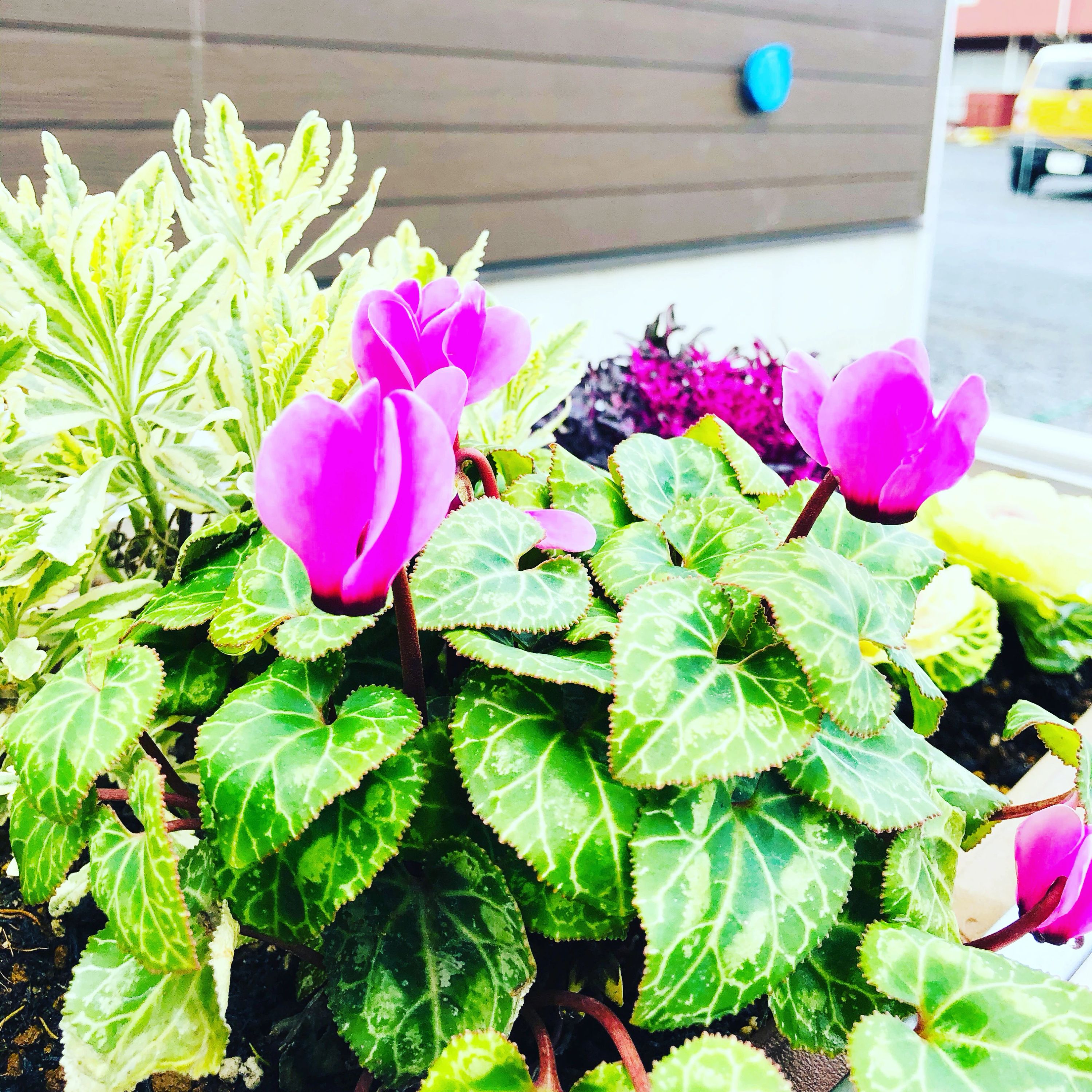 すぎと 療育（発達支援） いちばん星のサムネイル画像 2