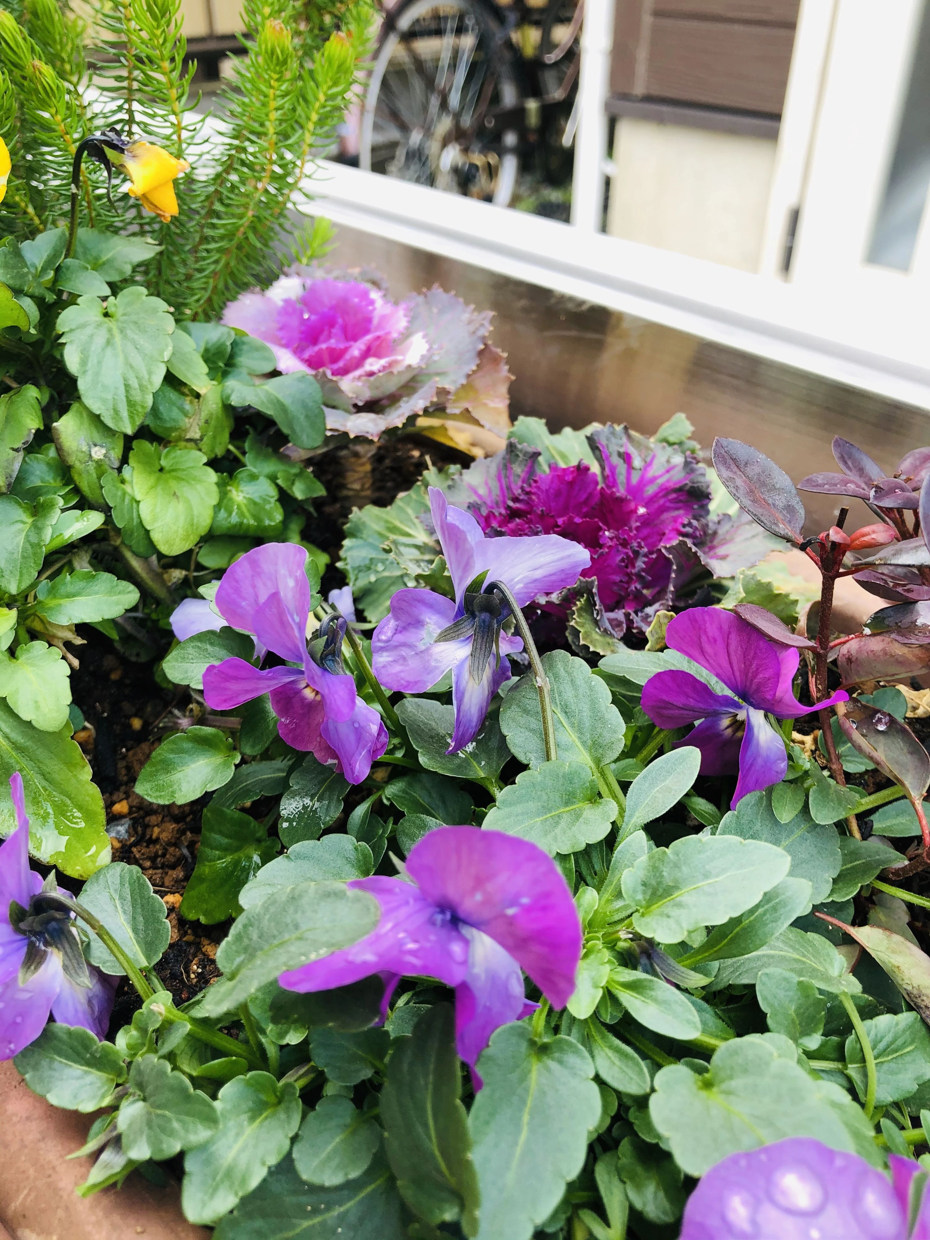 すぎと 療育（発達支援） いちばん星のサムネイル画像 4