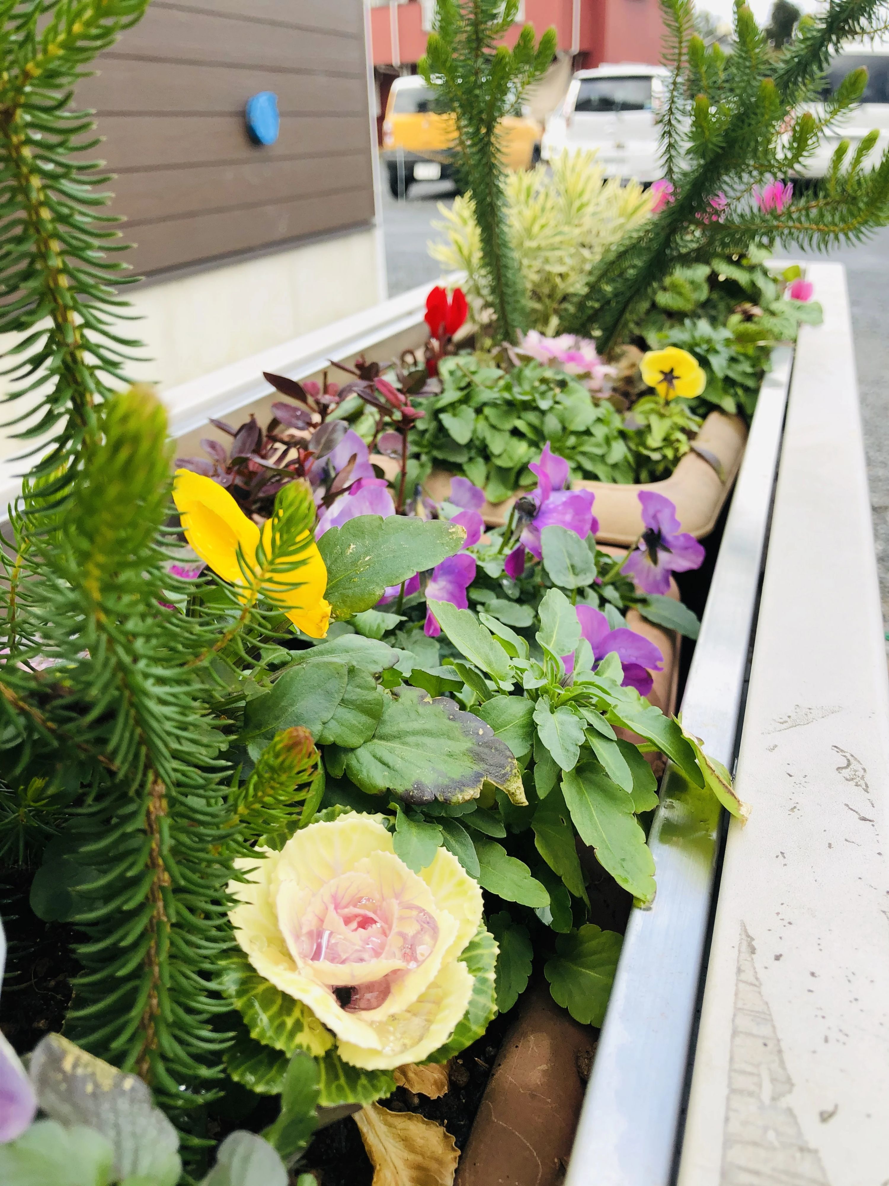 すぎと 療育（発達支援） いちばん星のサムネイル画像 5