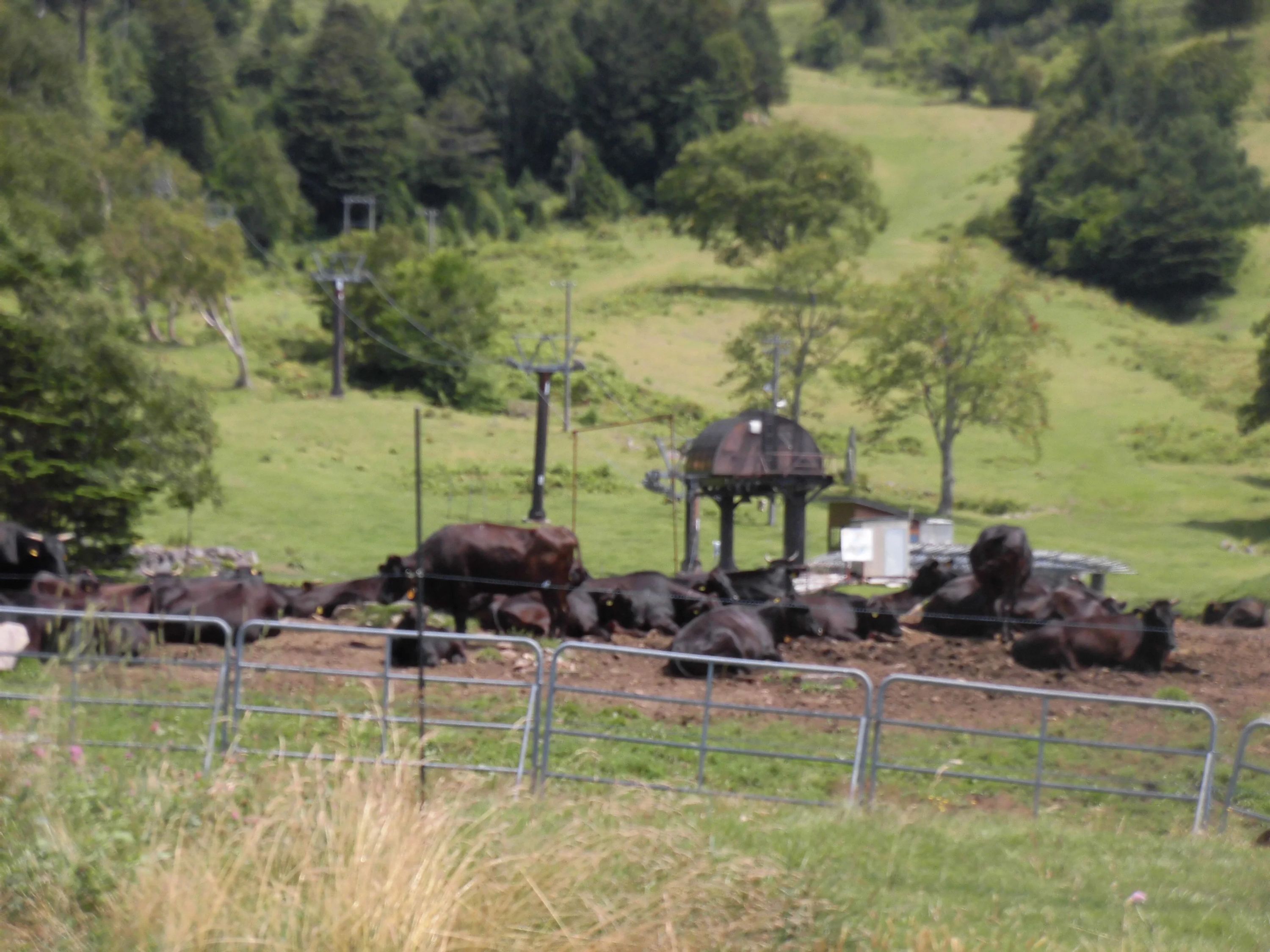 プラス 療育（発達支援） 長野石渡教室のサムネイル画像 2