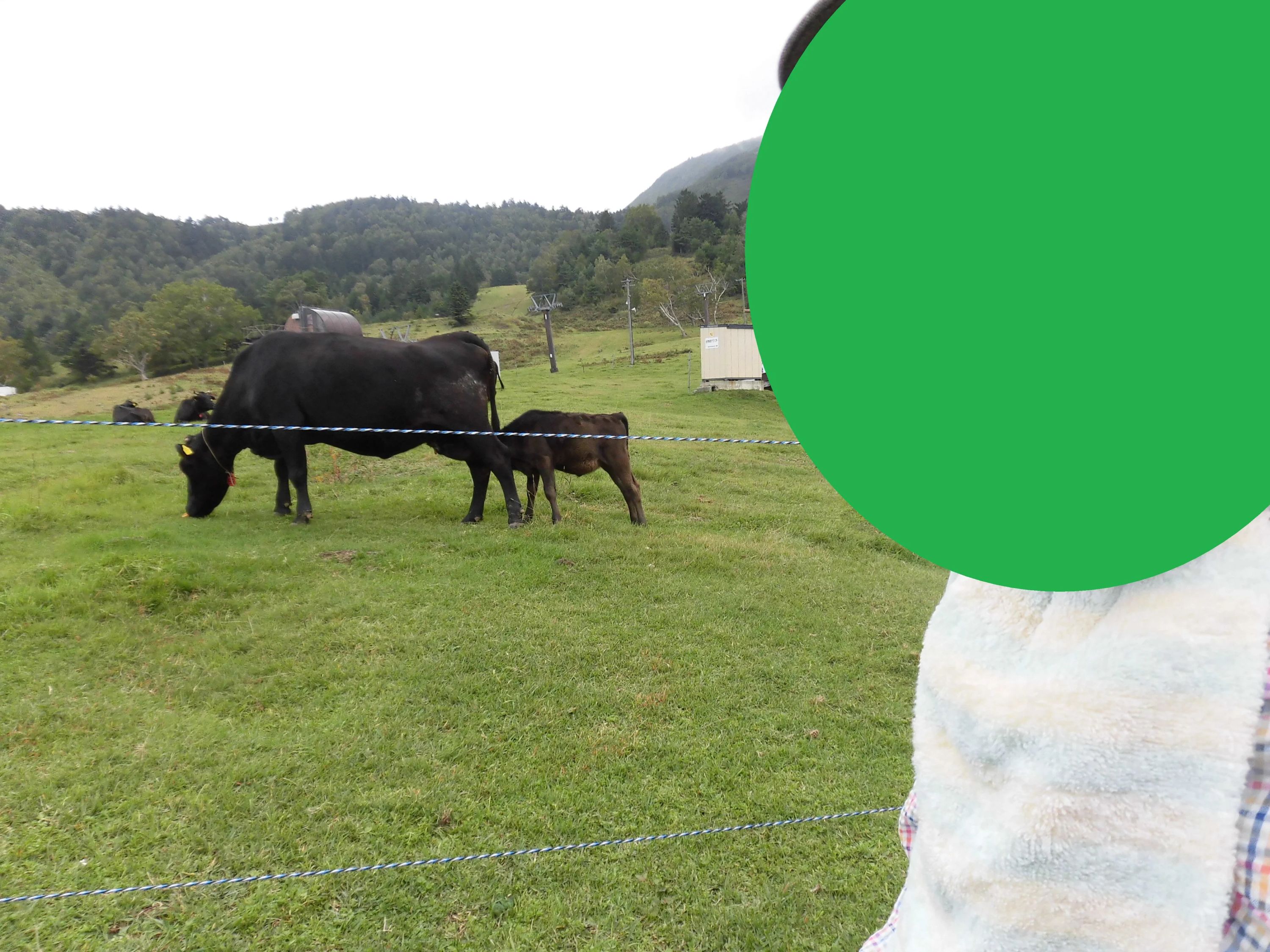 プラス 療育（発達支援） 長野石渡教室のサムネイル画像 3