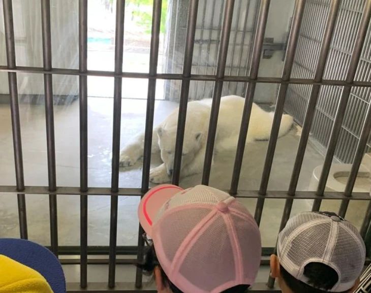 すぽーつぷらざ・ティアランド 療育（発達支援） 本校のメイン画像