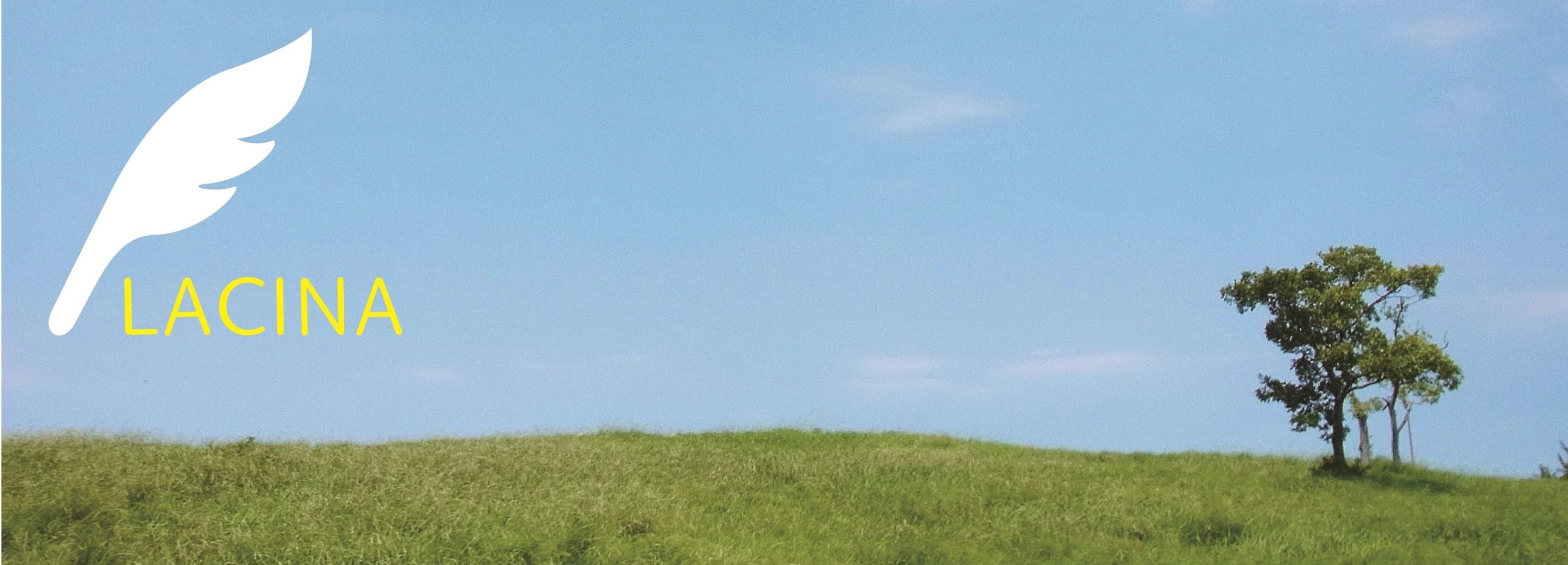 志塾フリースクール 療育（発達支援） ラシーナ富田林教室のメイン画像