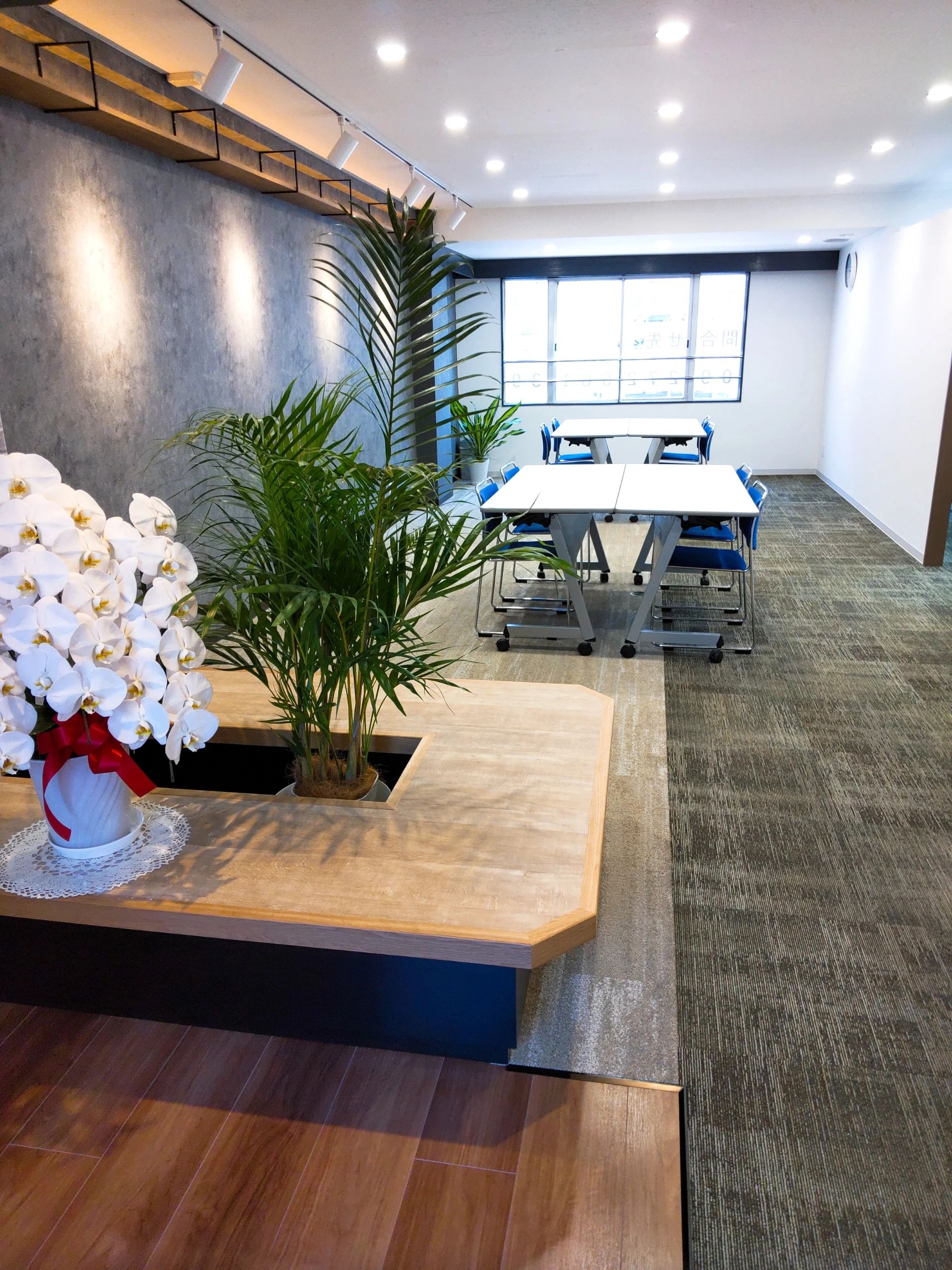 イーシ゛スシールト゛ 療育（発達支援） 本校のメイン画像