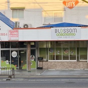 ブロッサムジュニア 療育（発達支援） 玉里教室のサムネイル画像 2