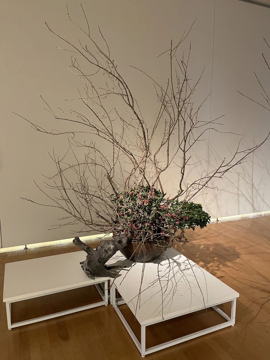 花一遊 生け花 内野本郷教室のサムネイル画像 4