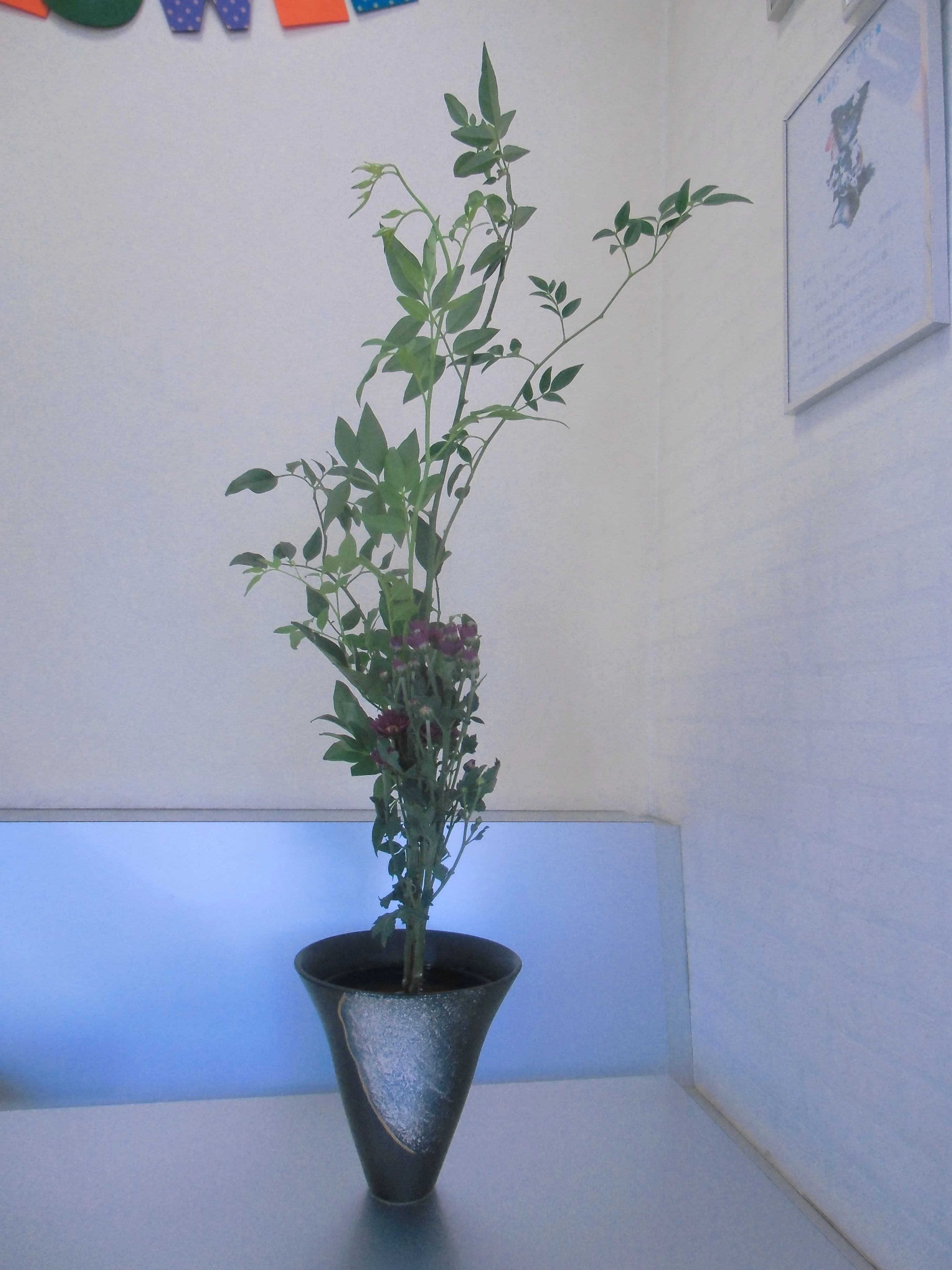 新田いけばな教室 新田会場のメイン画像