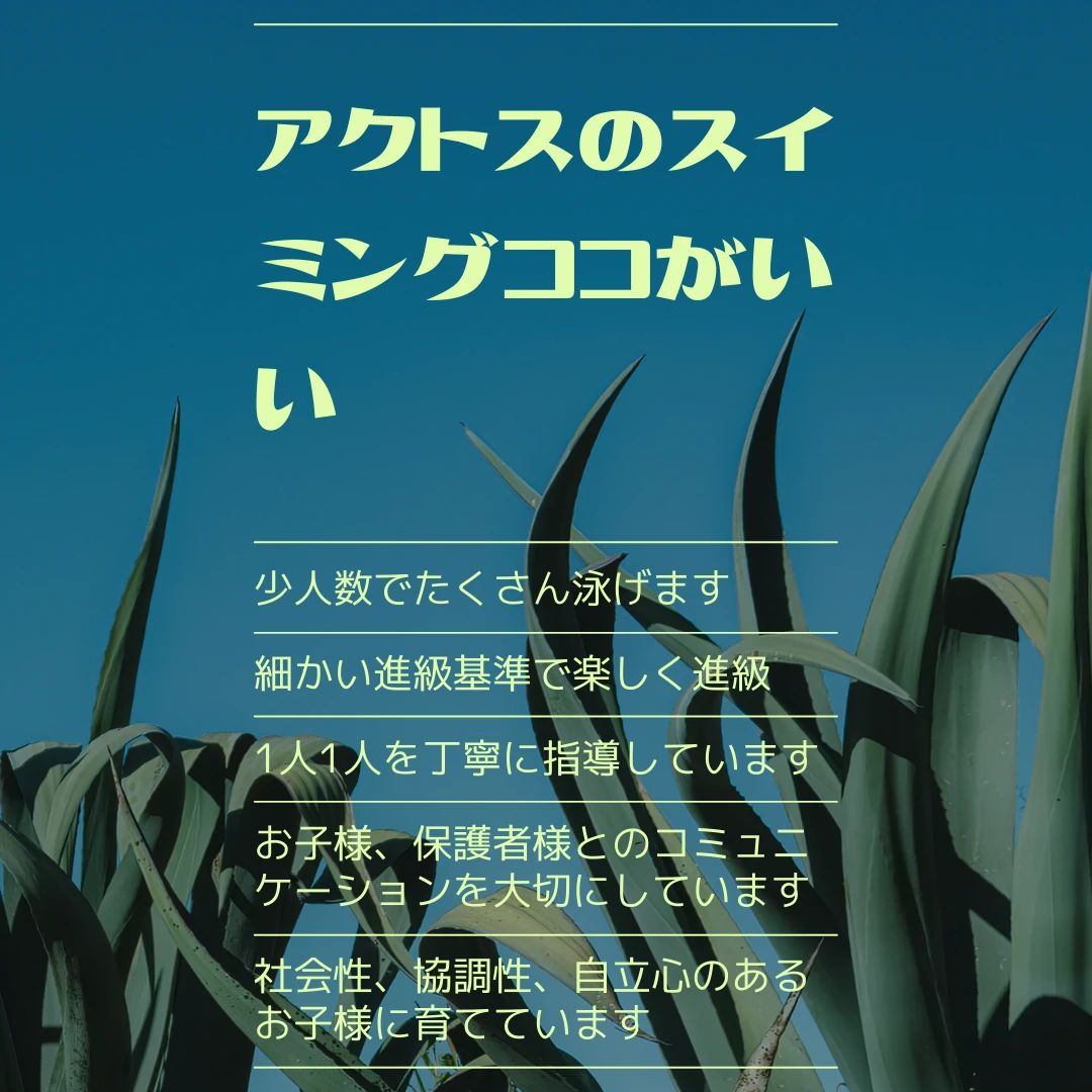 Sports Club AXTOS [スイミングスクール] アクトス各務原のサムネイル画像 4