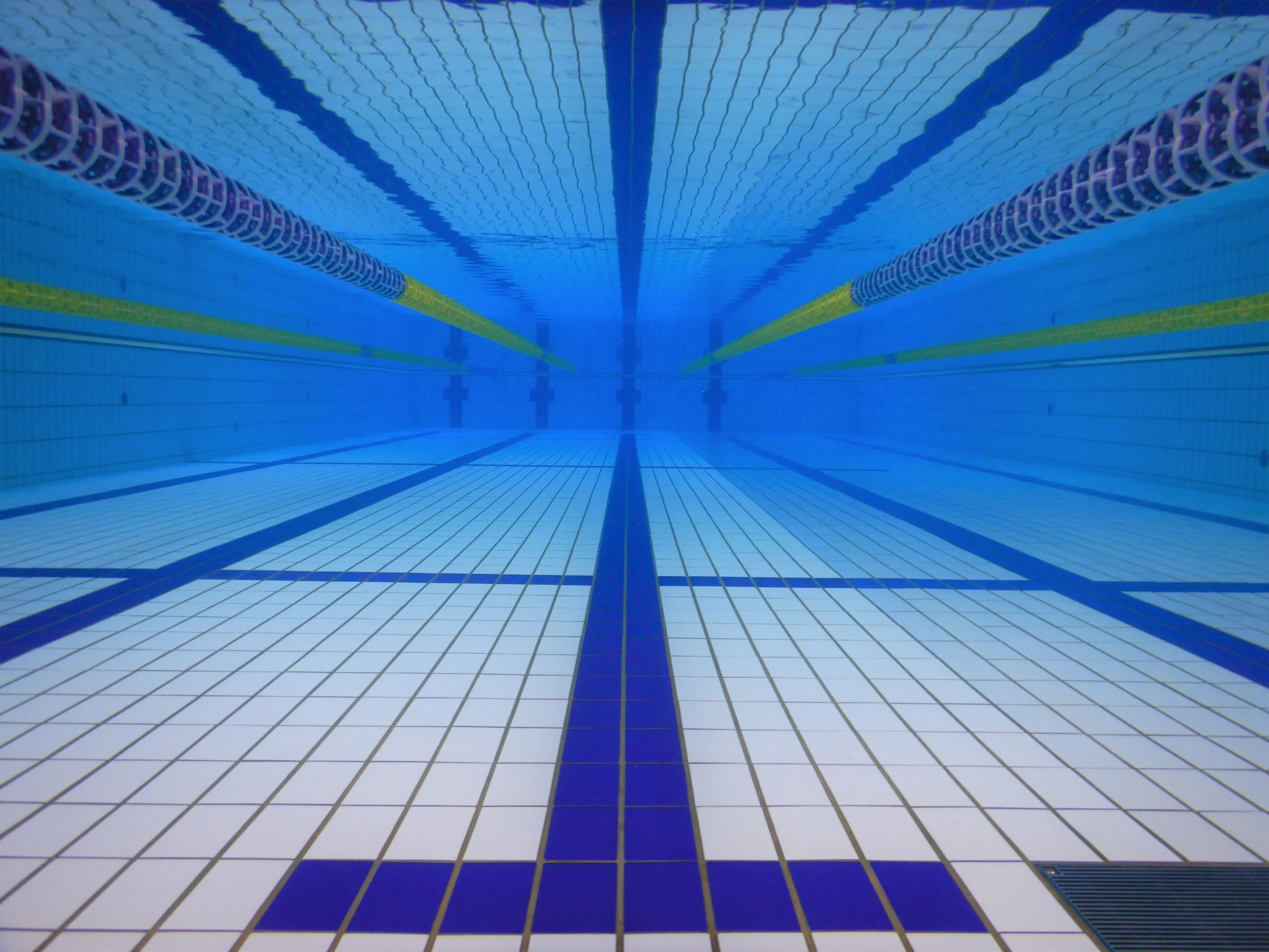 Sports Club AXTOS [スイミングスクール] アクトス高山のサムネイル画像 4