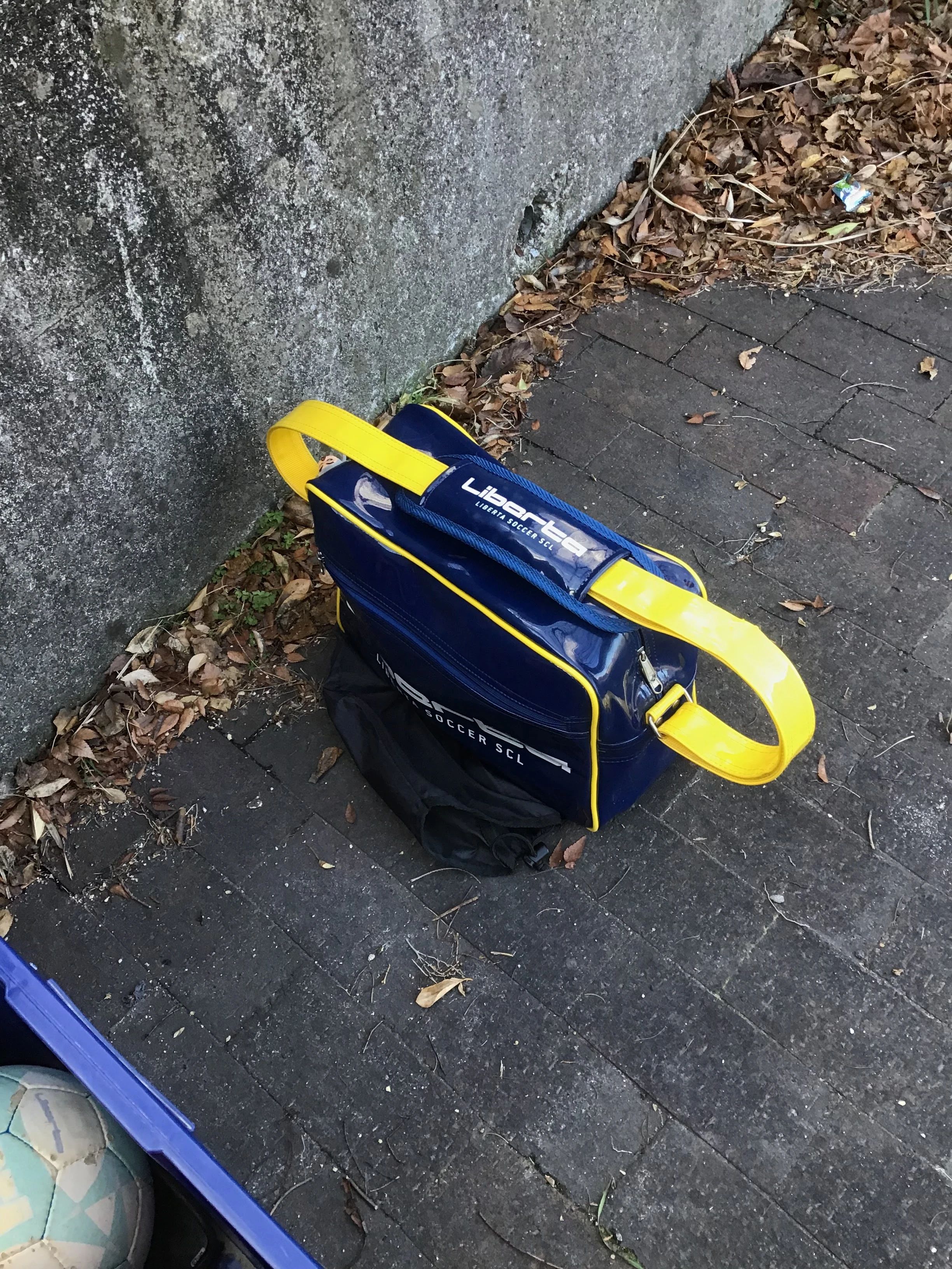 リベルタサッカースクール MFPのメイン画像