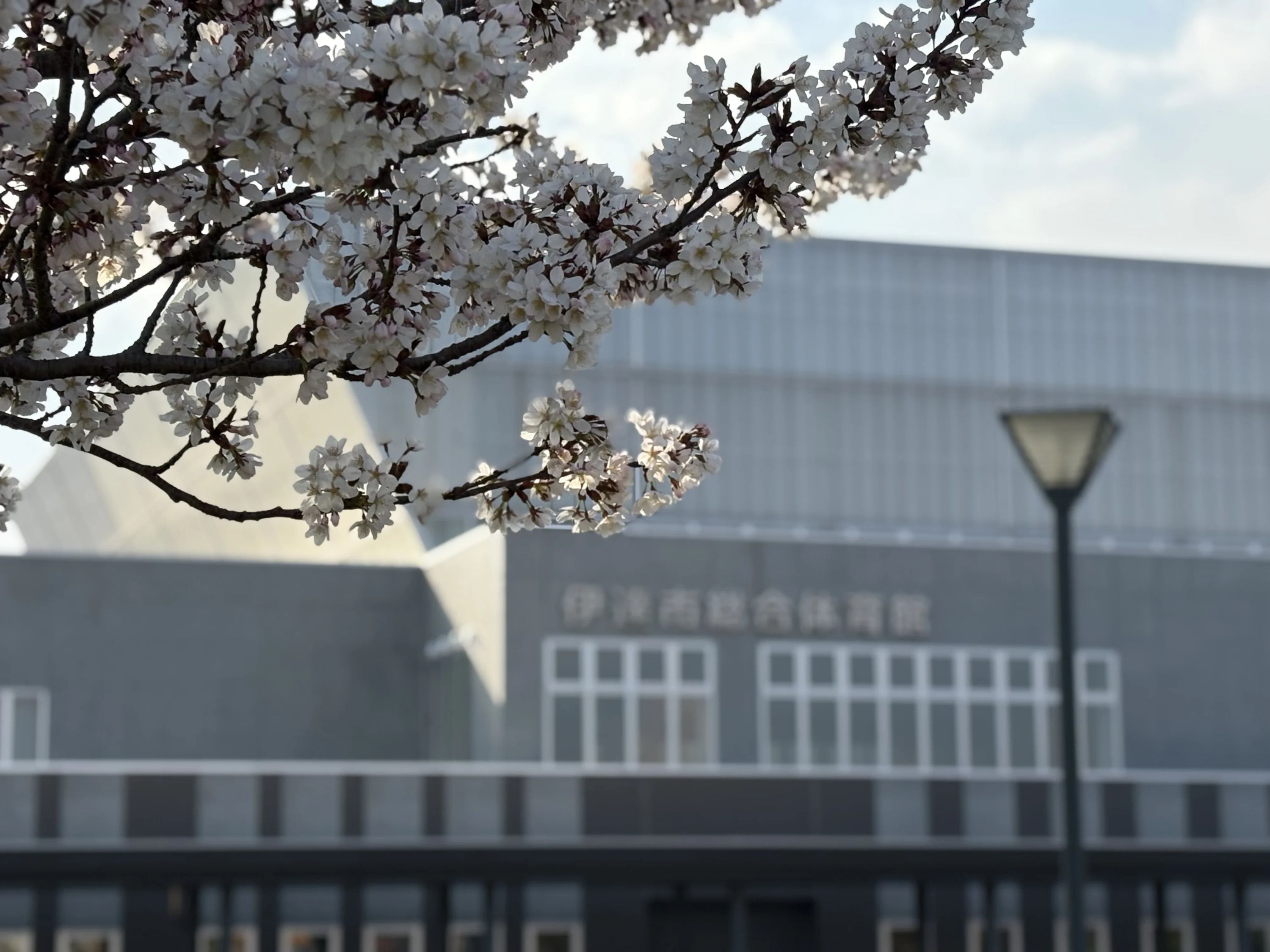 多種目スポーツスクール JJMIX 伊達のサムネイル画像 3