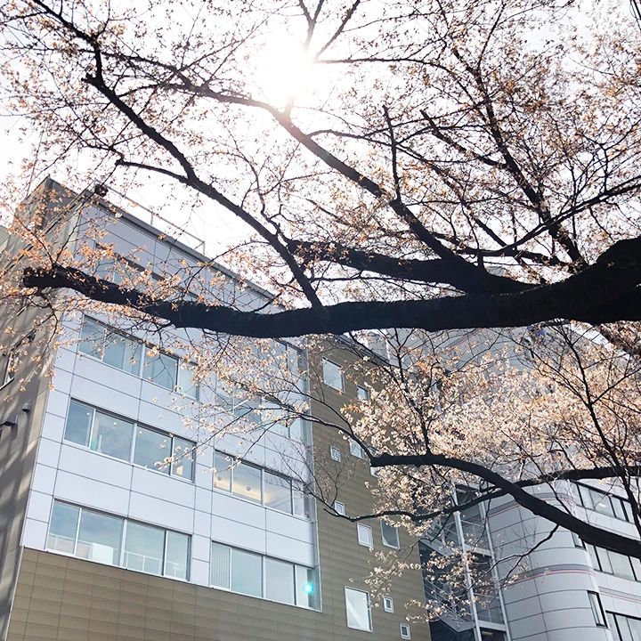 宮地楽器音楽教室 バレエ教室 MUSIC JOY市ヶ谷のサムネイル画像 2