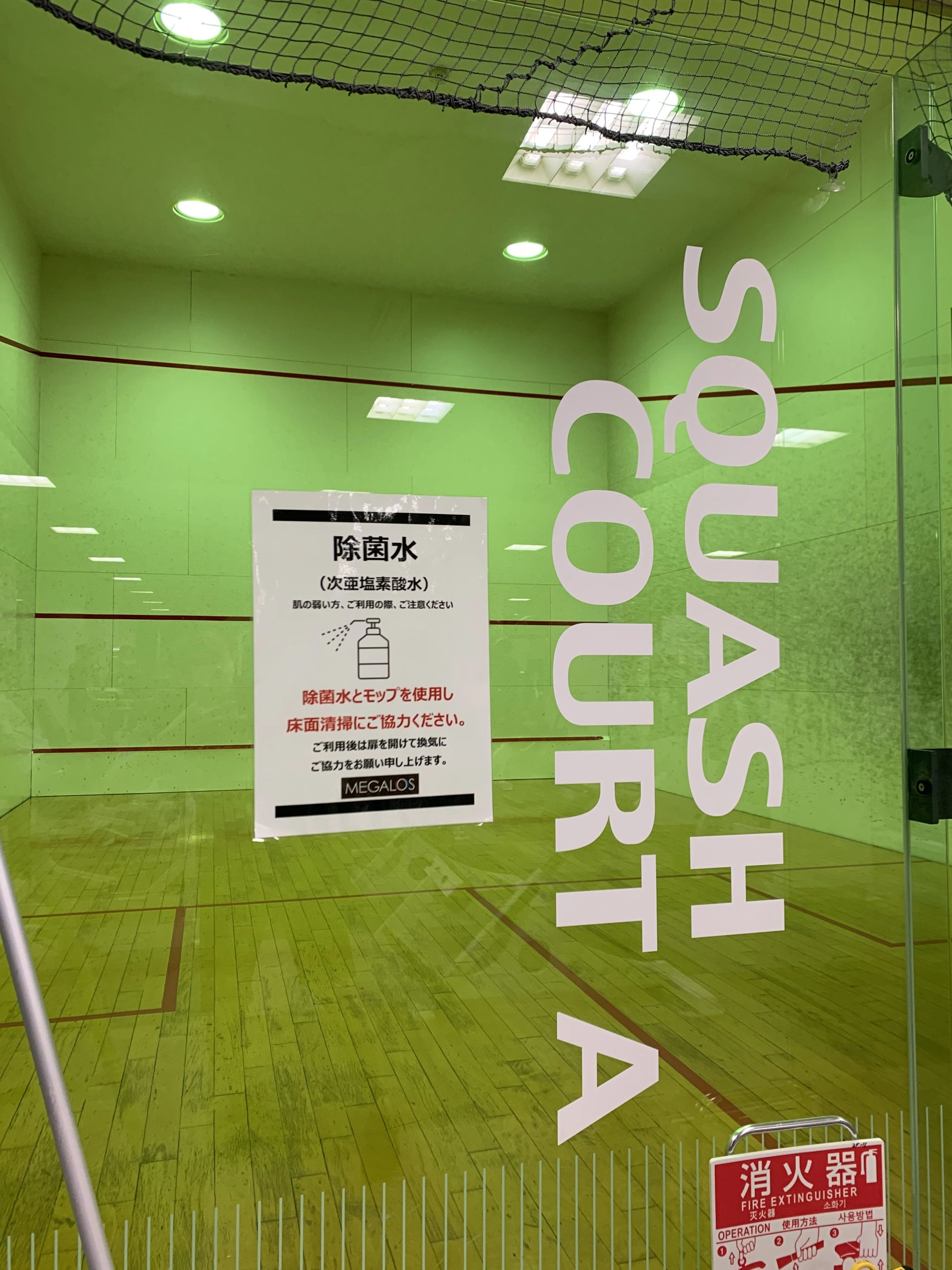 メガロス キッズバレエスクール 町田のサムネイル画像 5