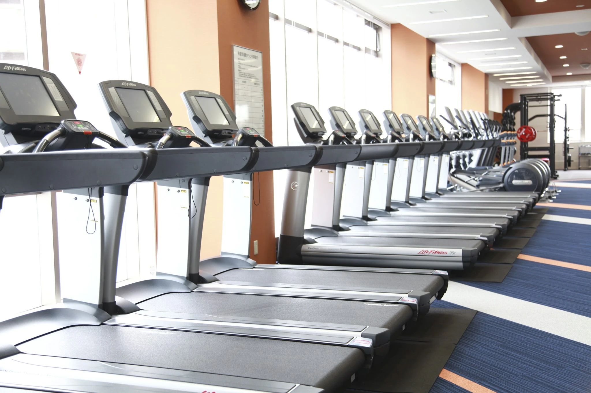 メガロス キッズバレエスクール 葛飾のメイン画像