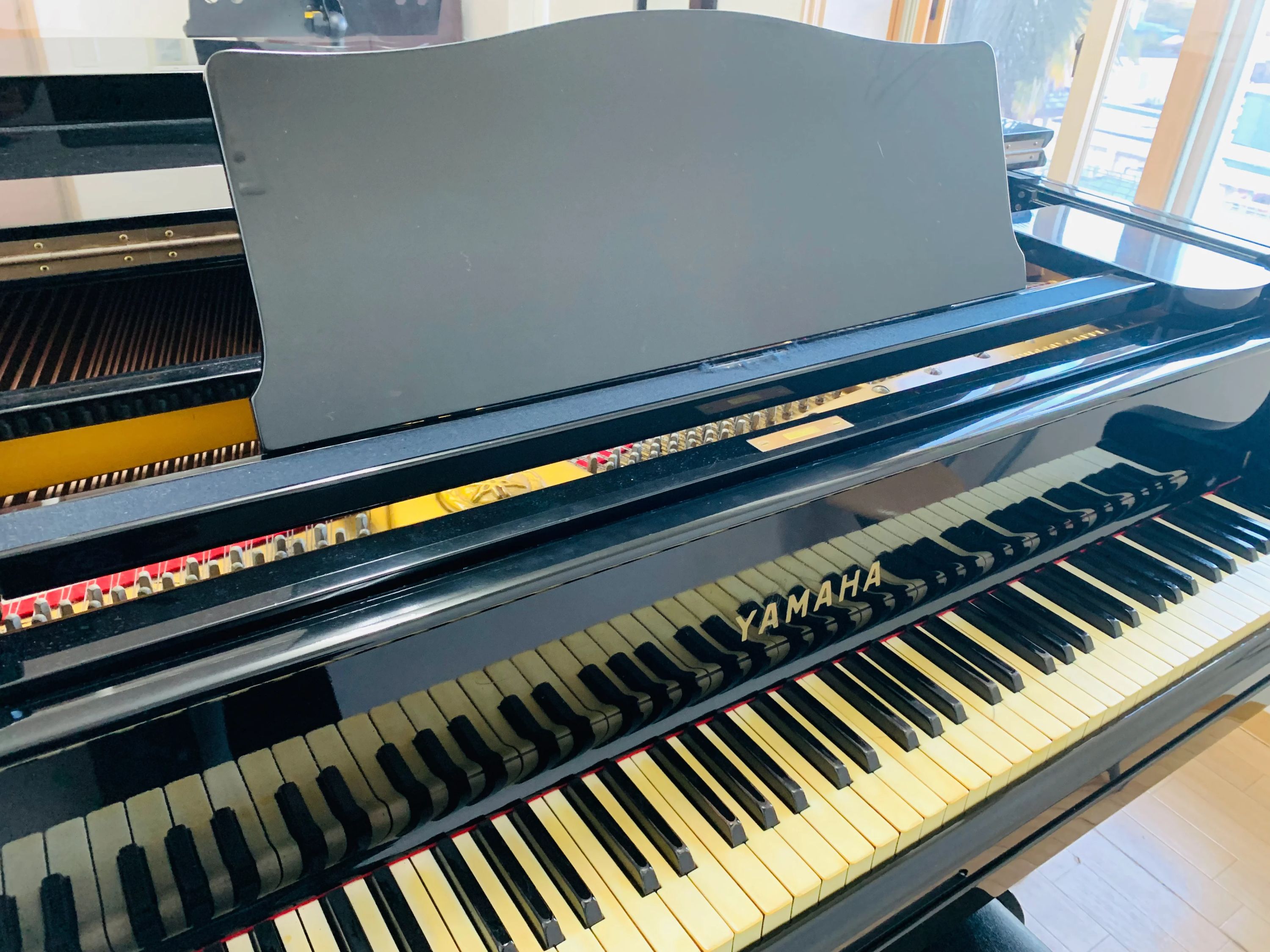 SMDさかいバレエスタジオ あざみ野校のサムネイル画像 5