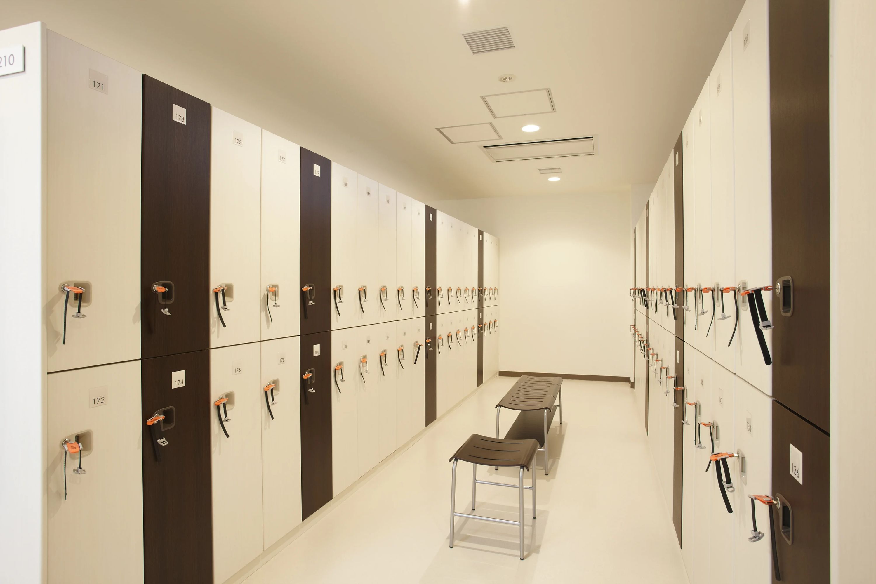 メガロス キッズバレエスクール 上永谷のメイン画像