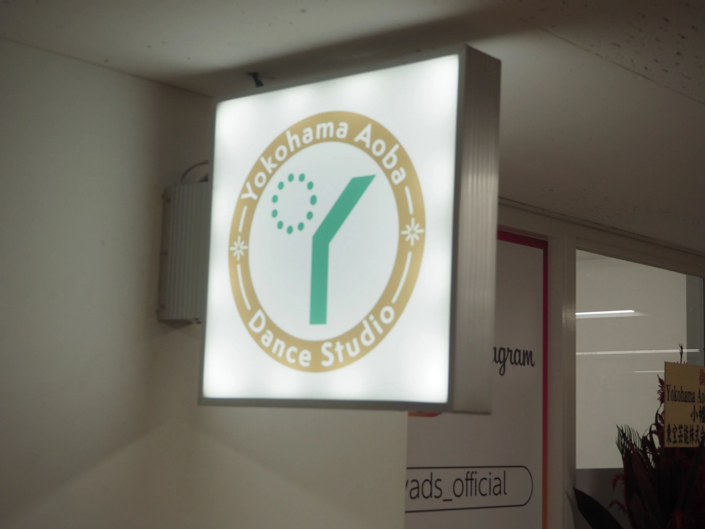 YADS バレエクラスのサムネイル画像 3