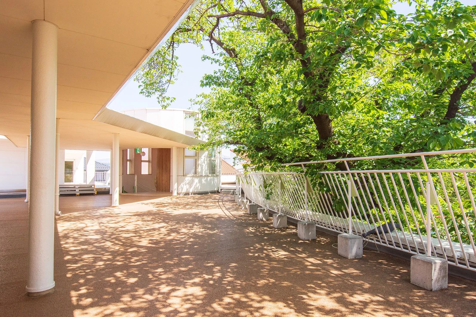 biima sports 二子山幼稚園校のサムネイル画像 2