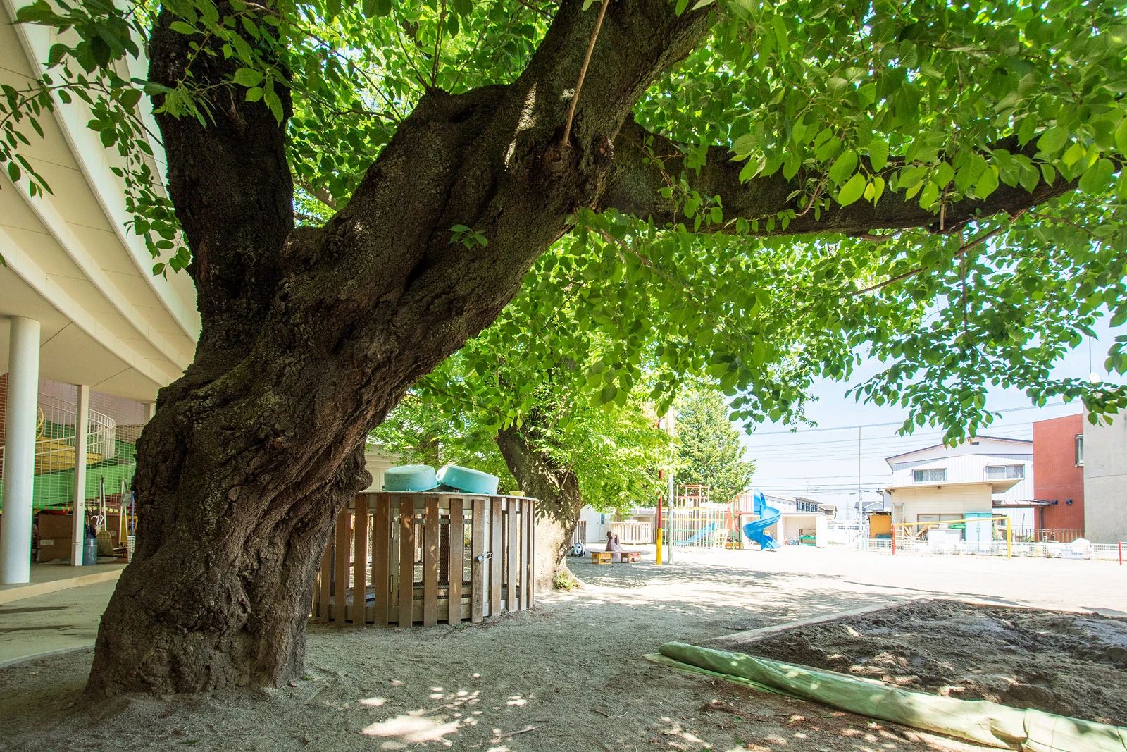biima sports 二子山幼稚園校のサムネイル画像 3