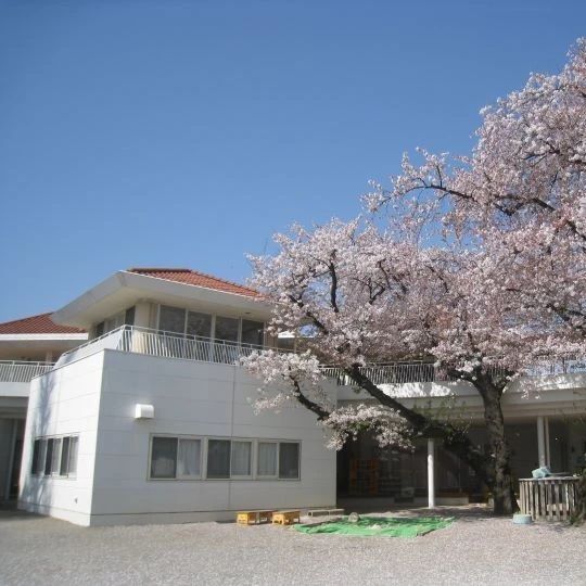 biima sports 二子山幼稚園校のサムネイル画像 4