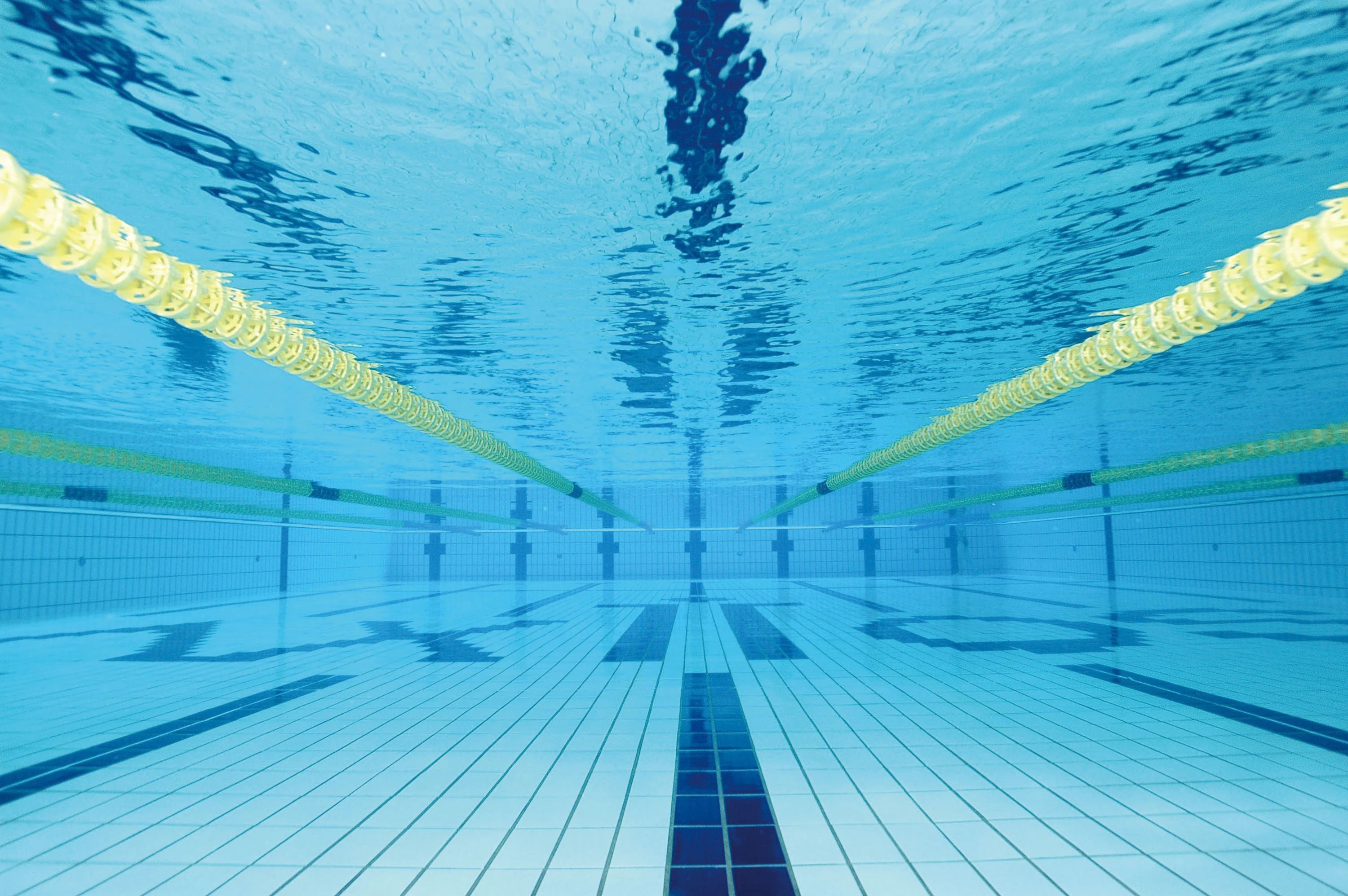 Sports Club AXTOS [スイミングスクール] アクトス四日市北のサムネイル画像 4