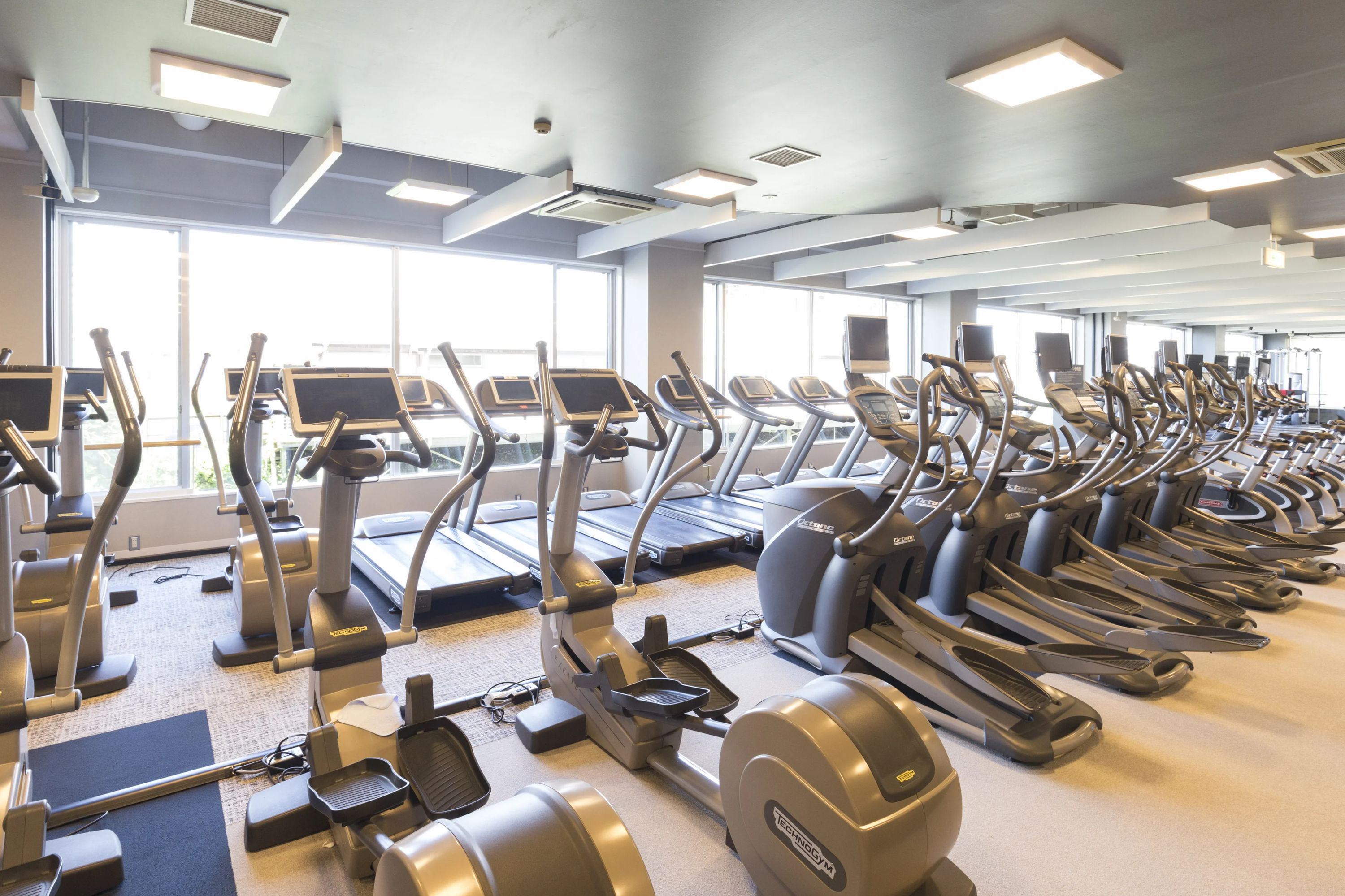 メガロス キッズ空手スクール 八王子のメイン画像