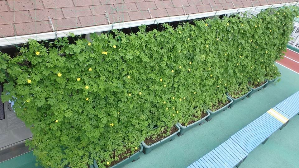 東京アスレティッククラブ 空手 TAC中野のサムネイル画像 2