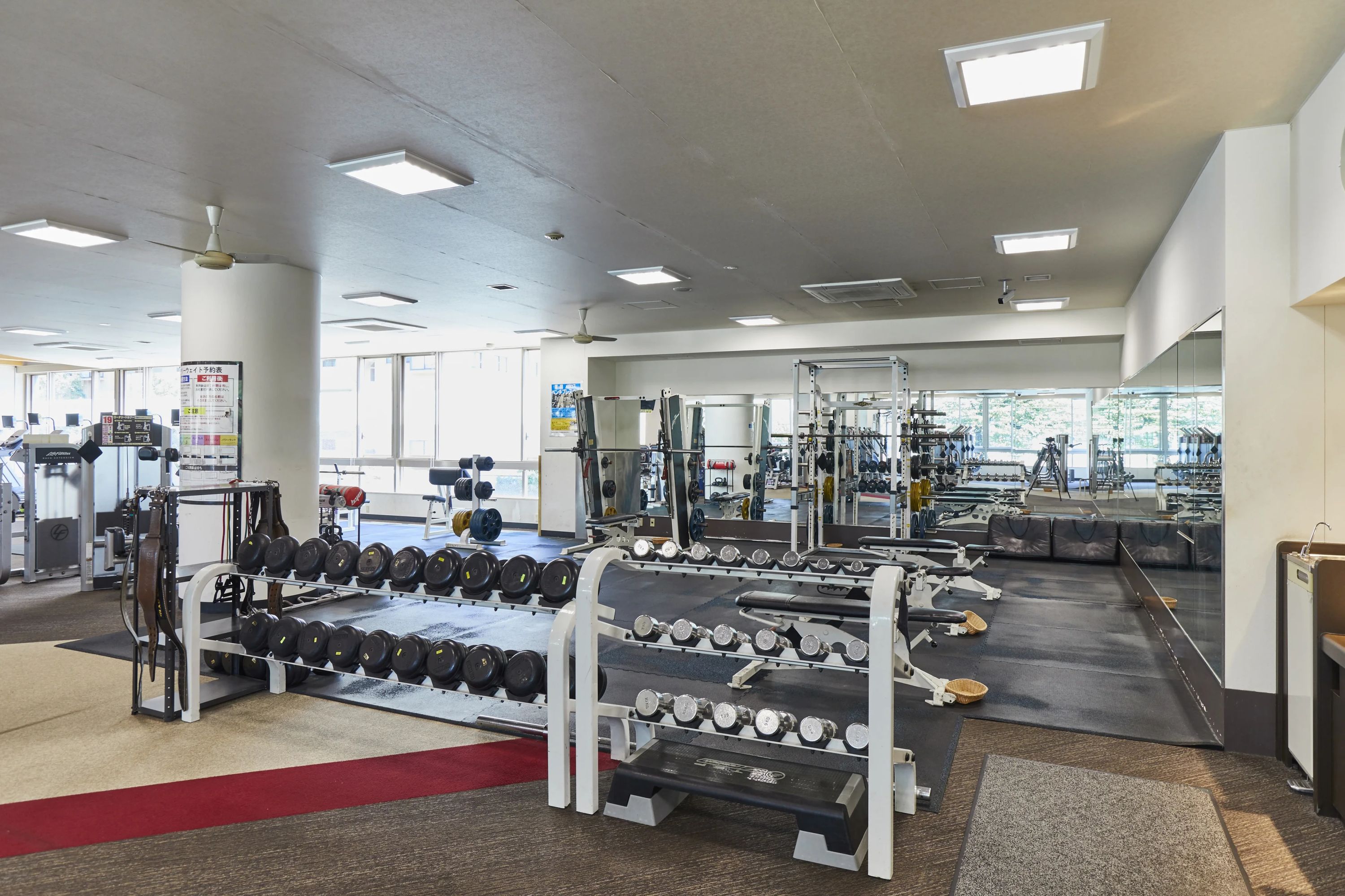 メガロス キッズスイミングスクール 調布のメイン画像