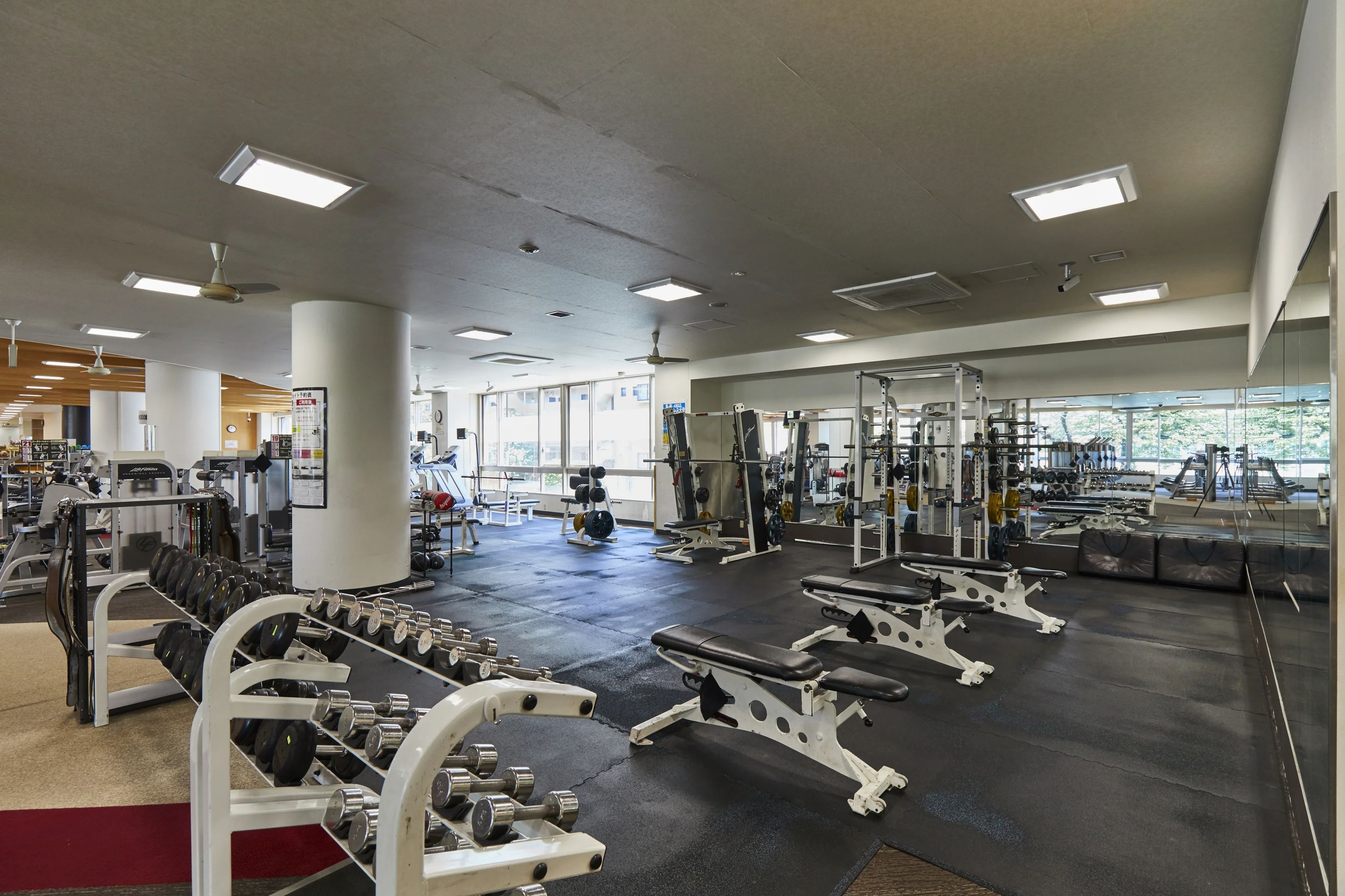 メガロス キッズスイミングスクール 調布のサムネイル画像 2